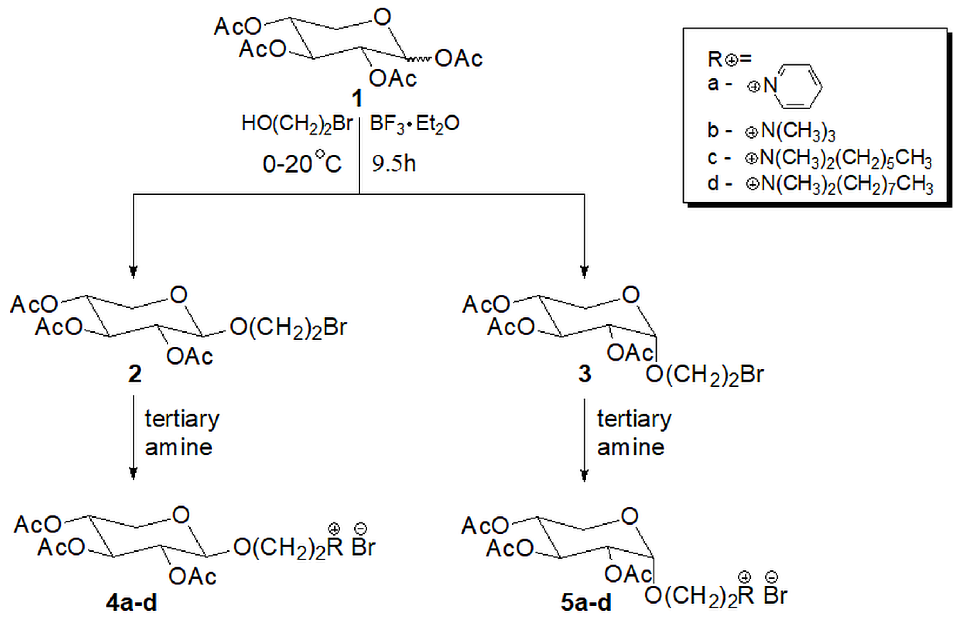 Antibiotics 12 00888 sch001 Antibiotics 12 00888 sch001