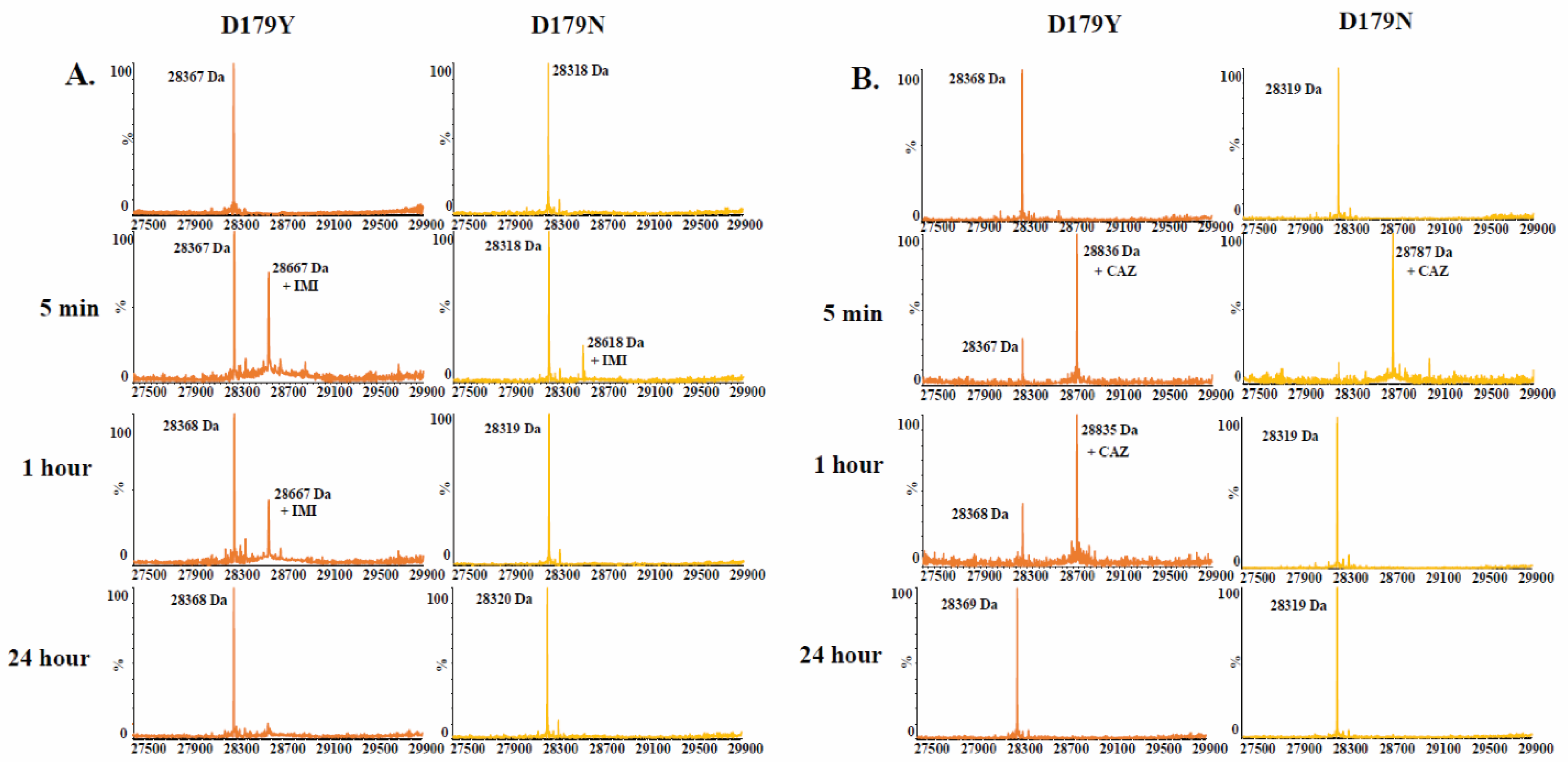 Antibiotics 12 00892 g002