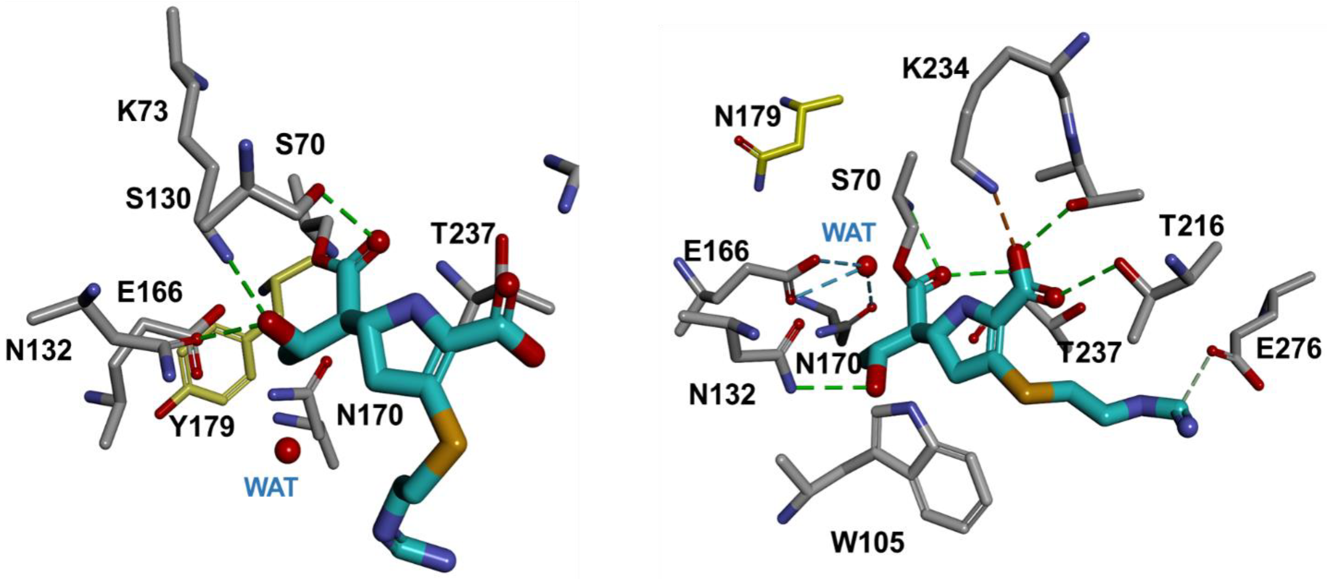 Antibiotics 12 00892 g004