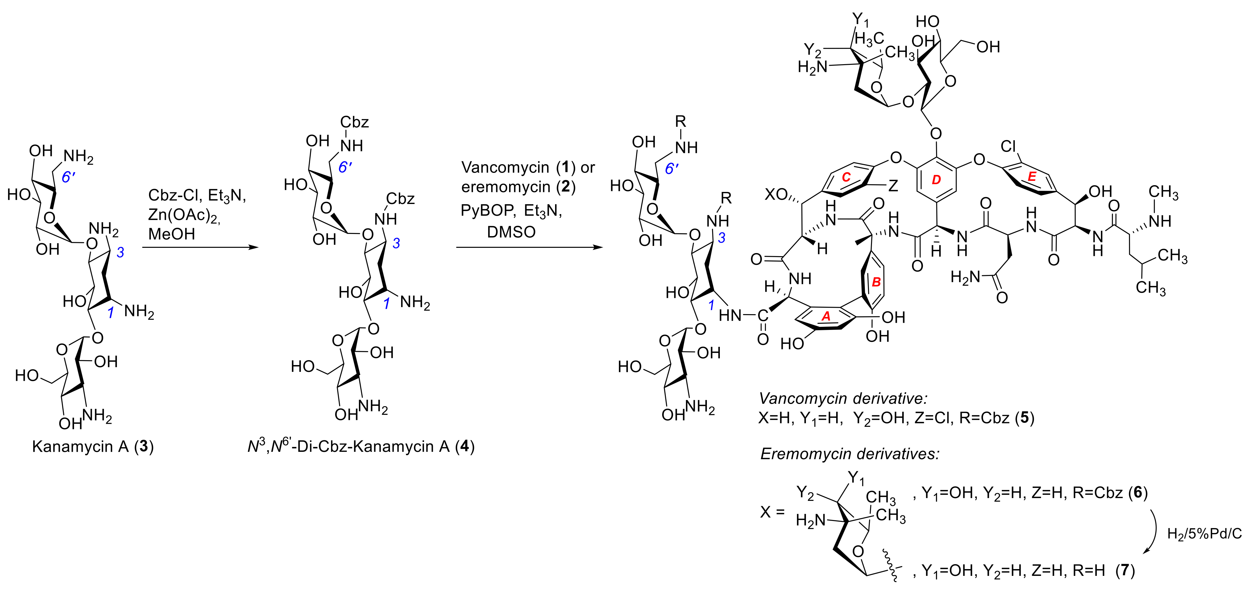 Antibiotics 12 00894 sch001 Antibiotics 12 00894 sch001