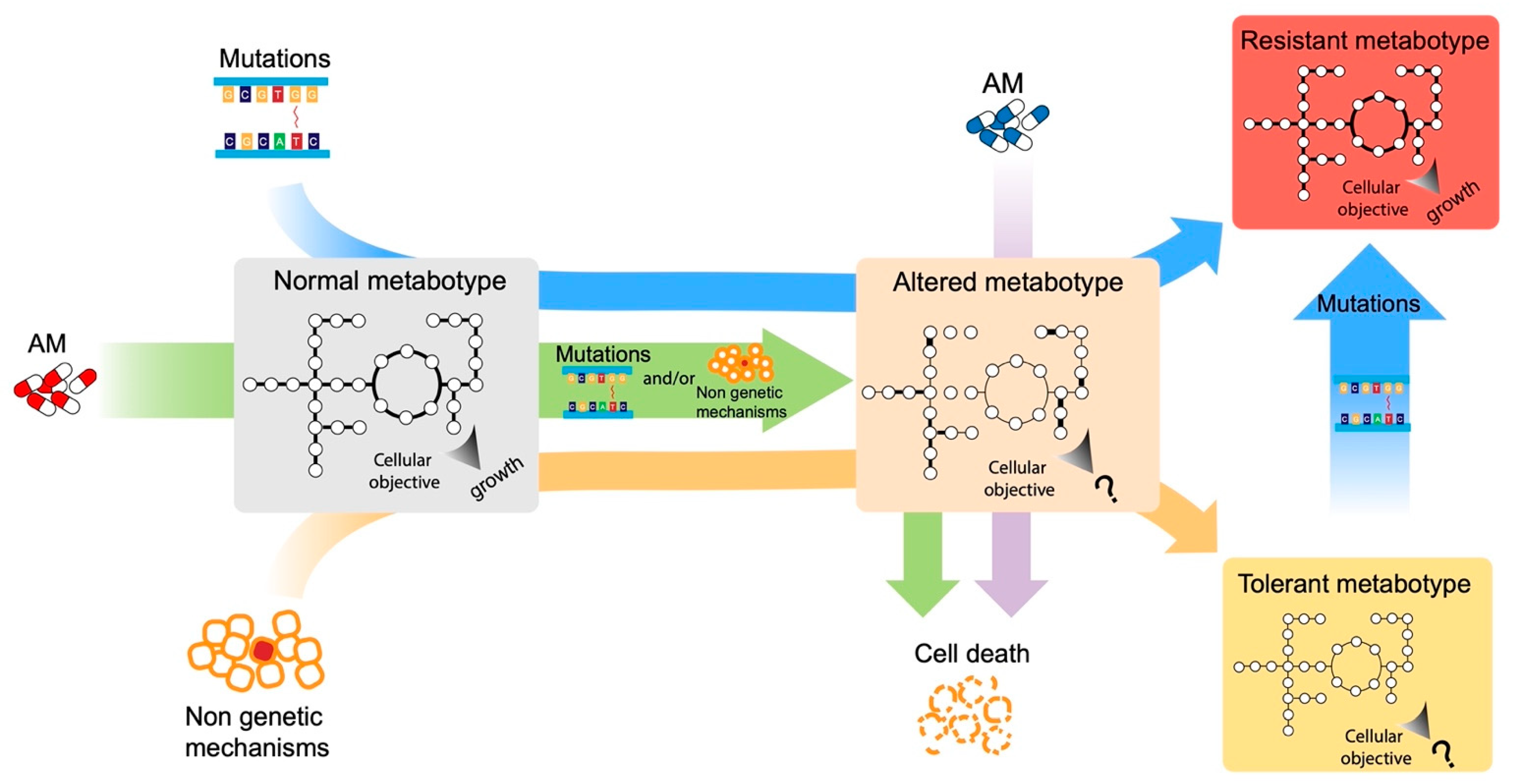 Antibiotics 12 00896 g001