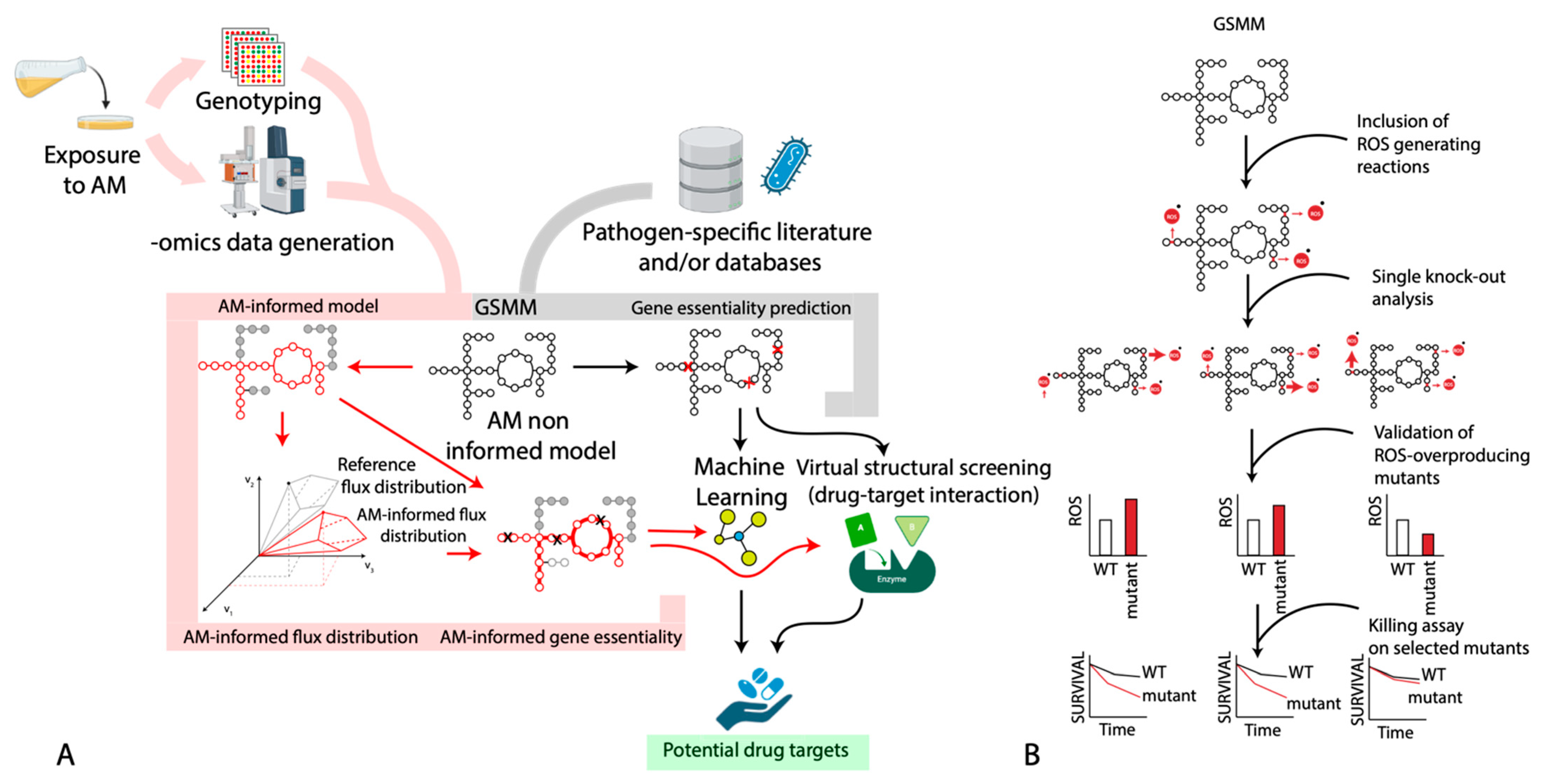 Antibiotics 12 00896 g002