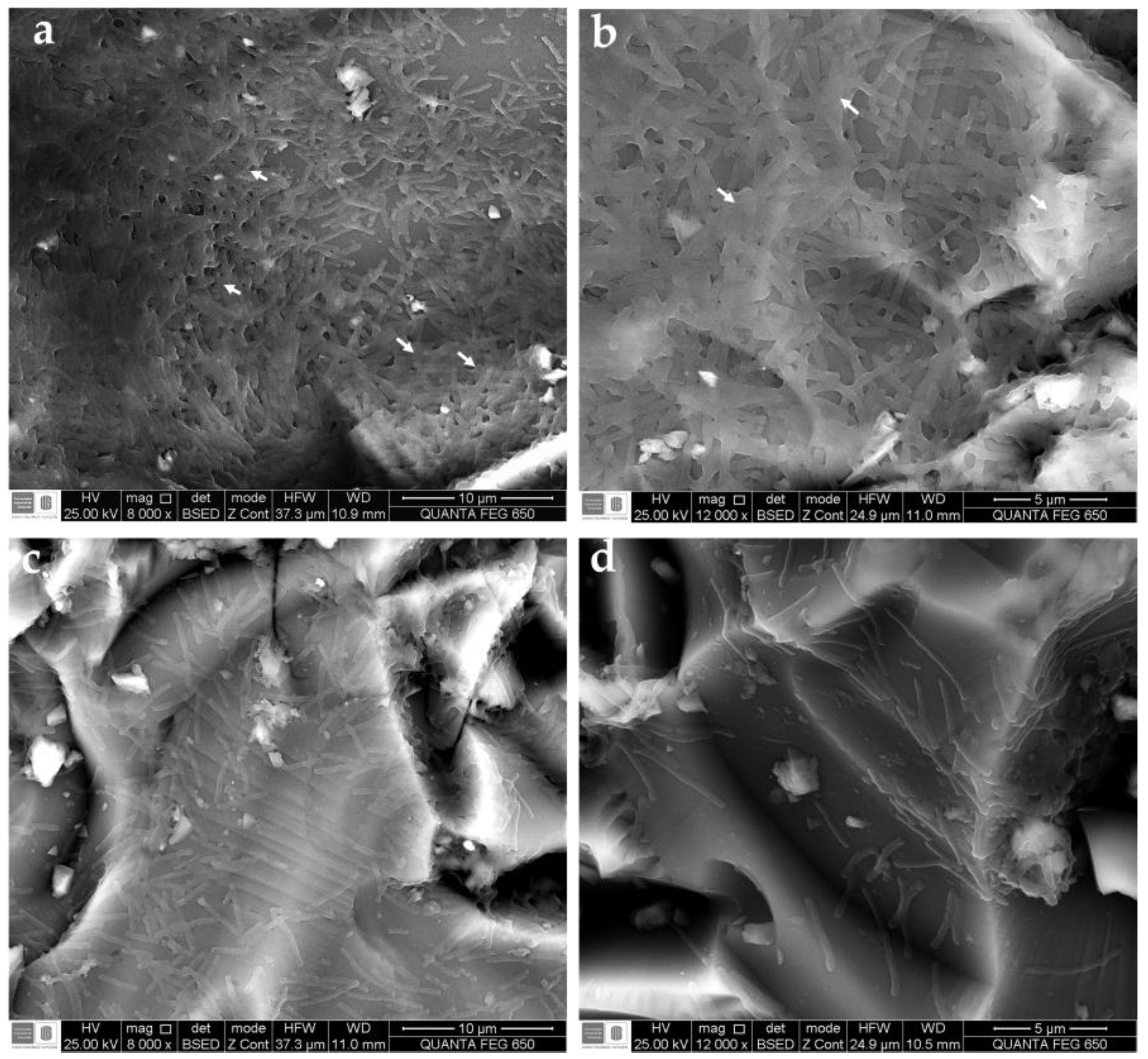 Antibiotics 12 00899 g002