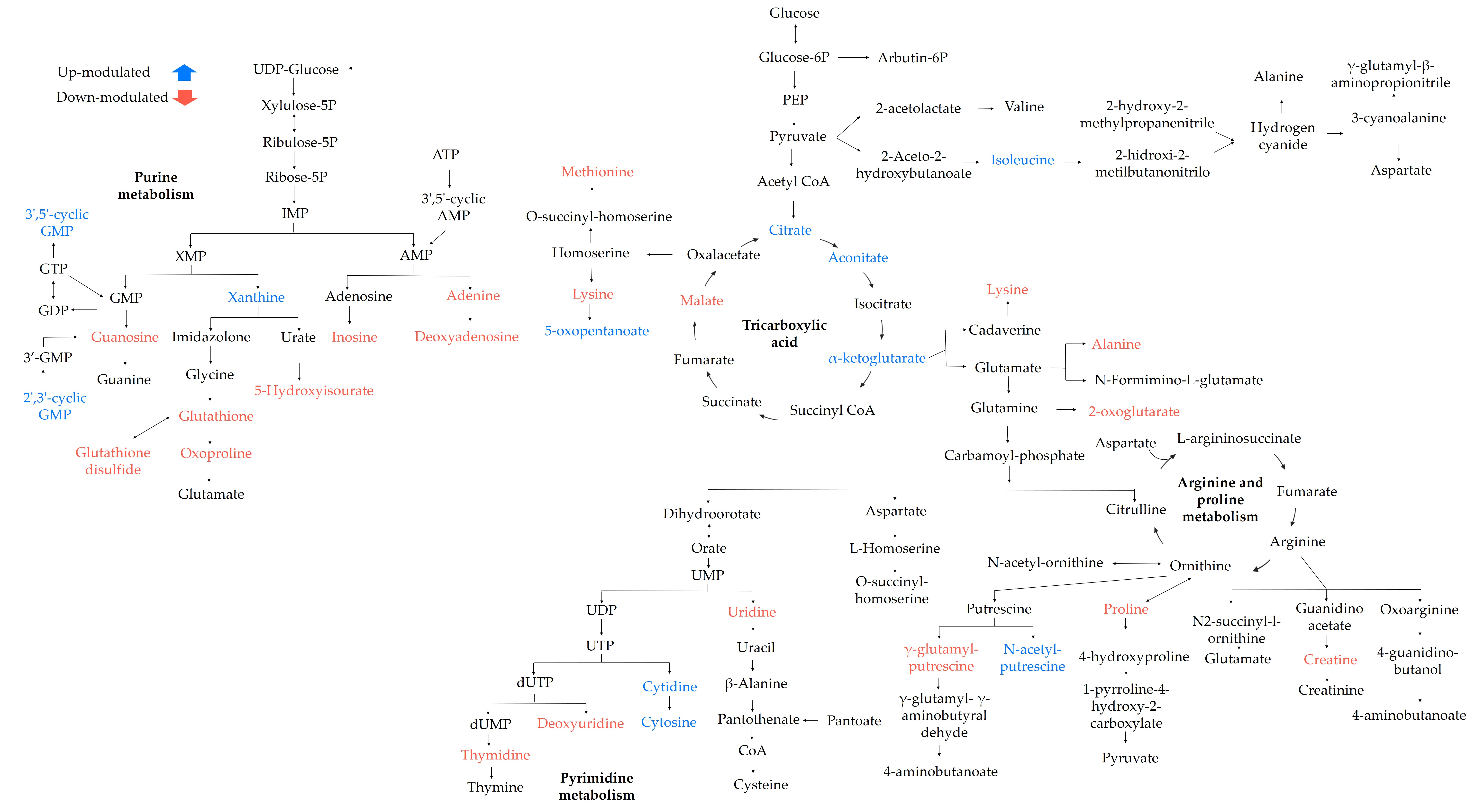 Antibiotics 12 00899 g006