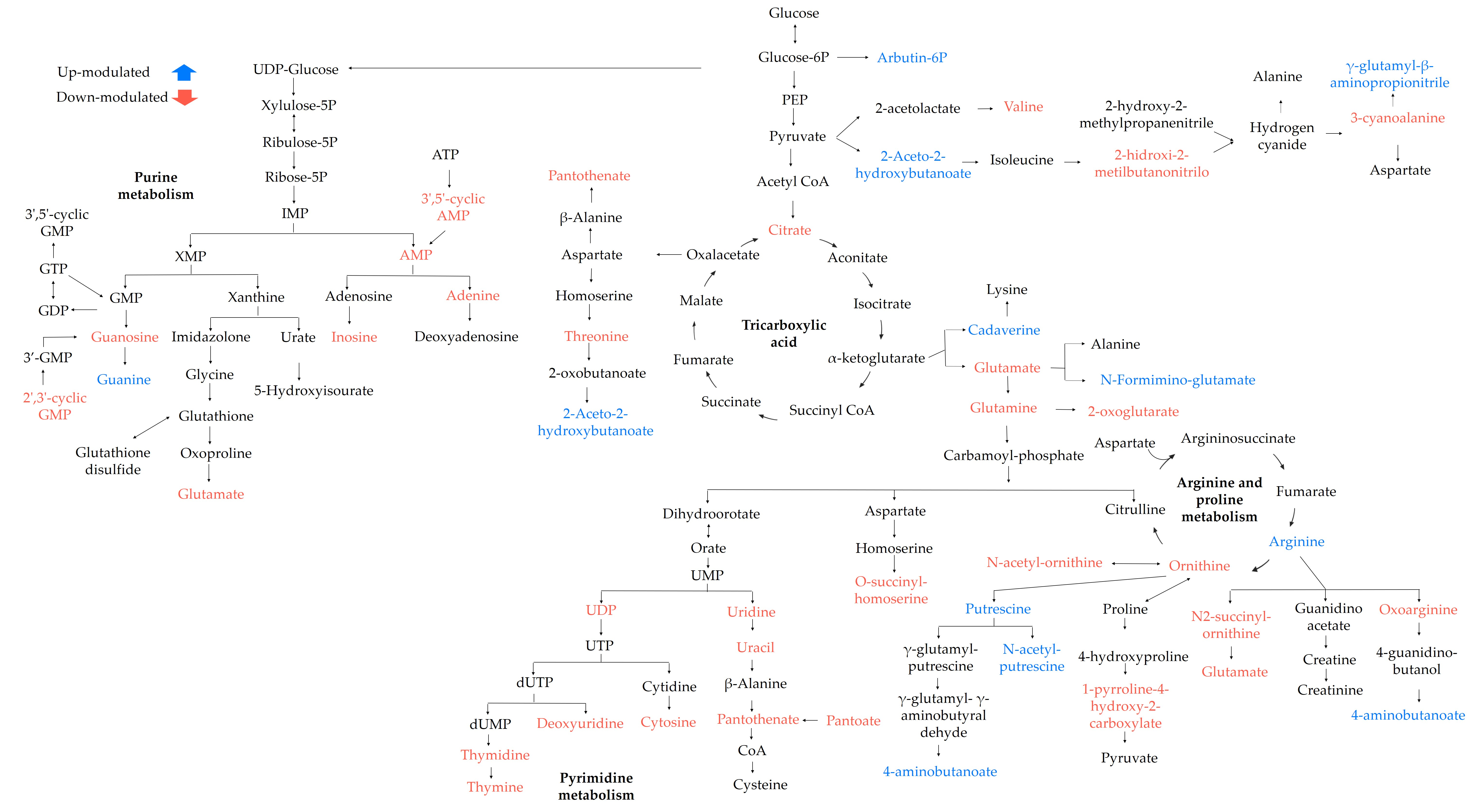 Antibiotics 12 00899 g008