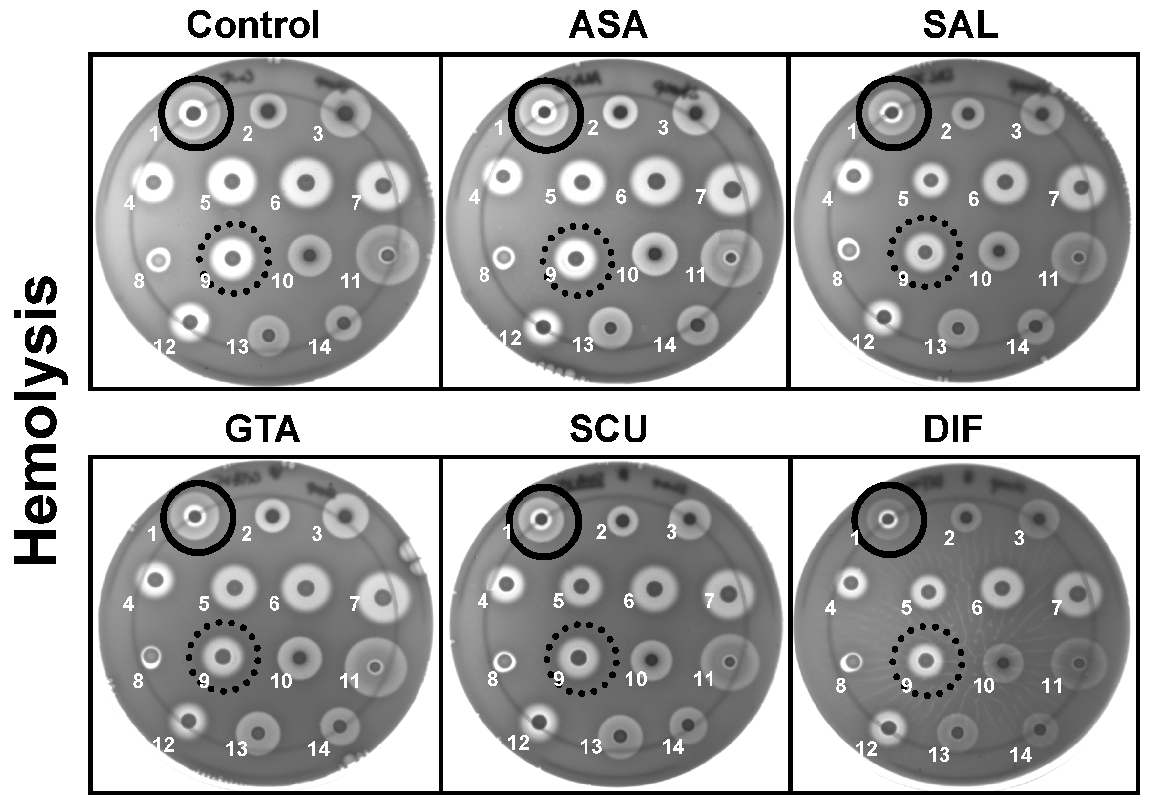 Antibiotics 12 00902 g003 Antibiotics 12 00902 g003