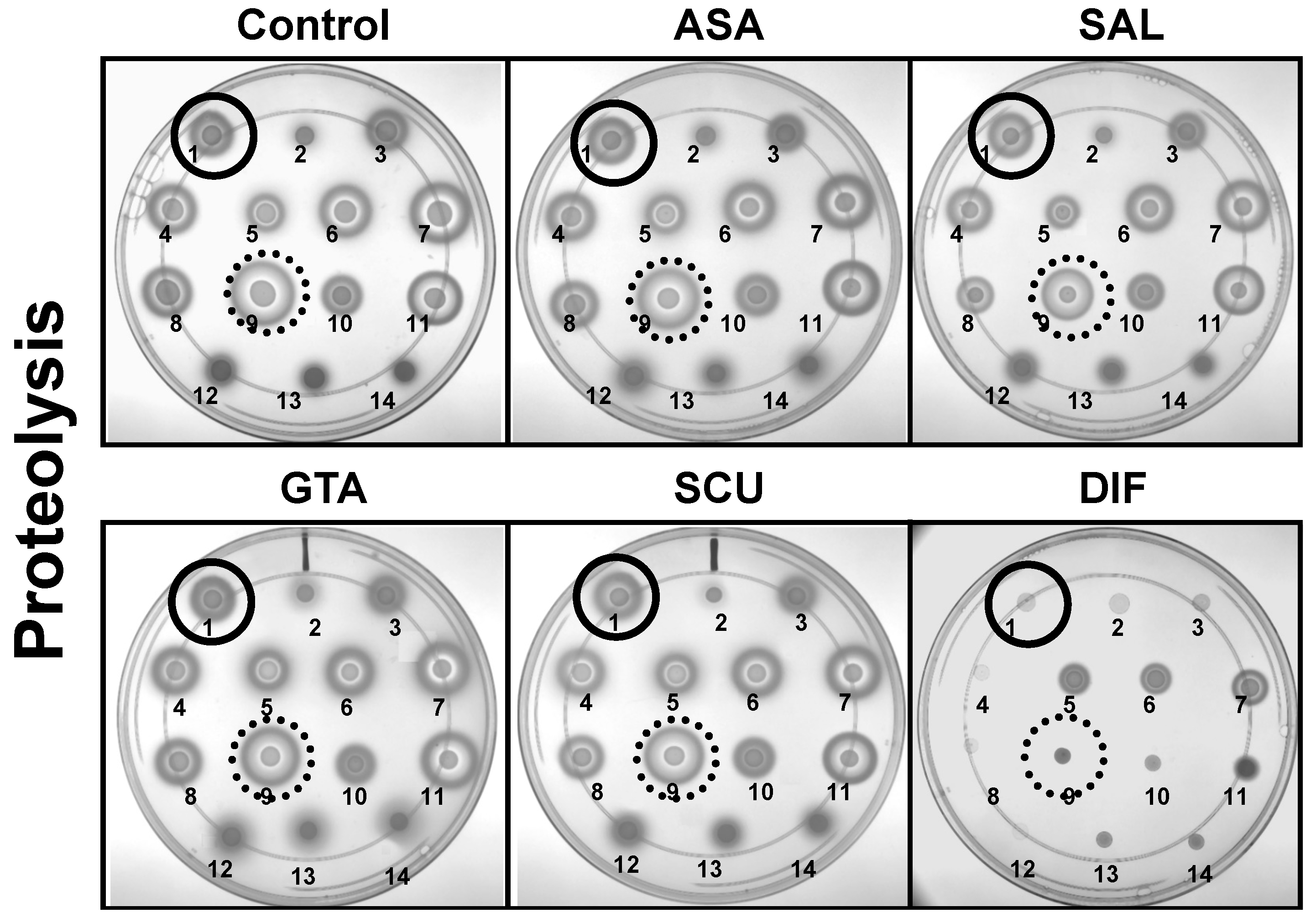 Antibiotics 12 00902 g005 Antibiotics 12 00902 g005