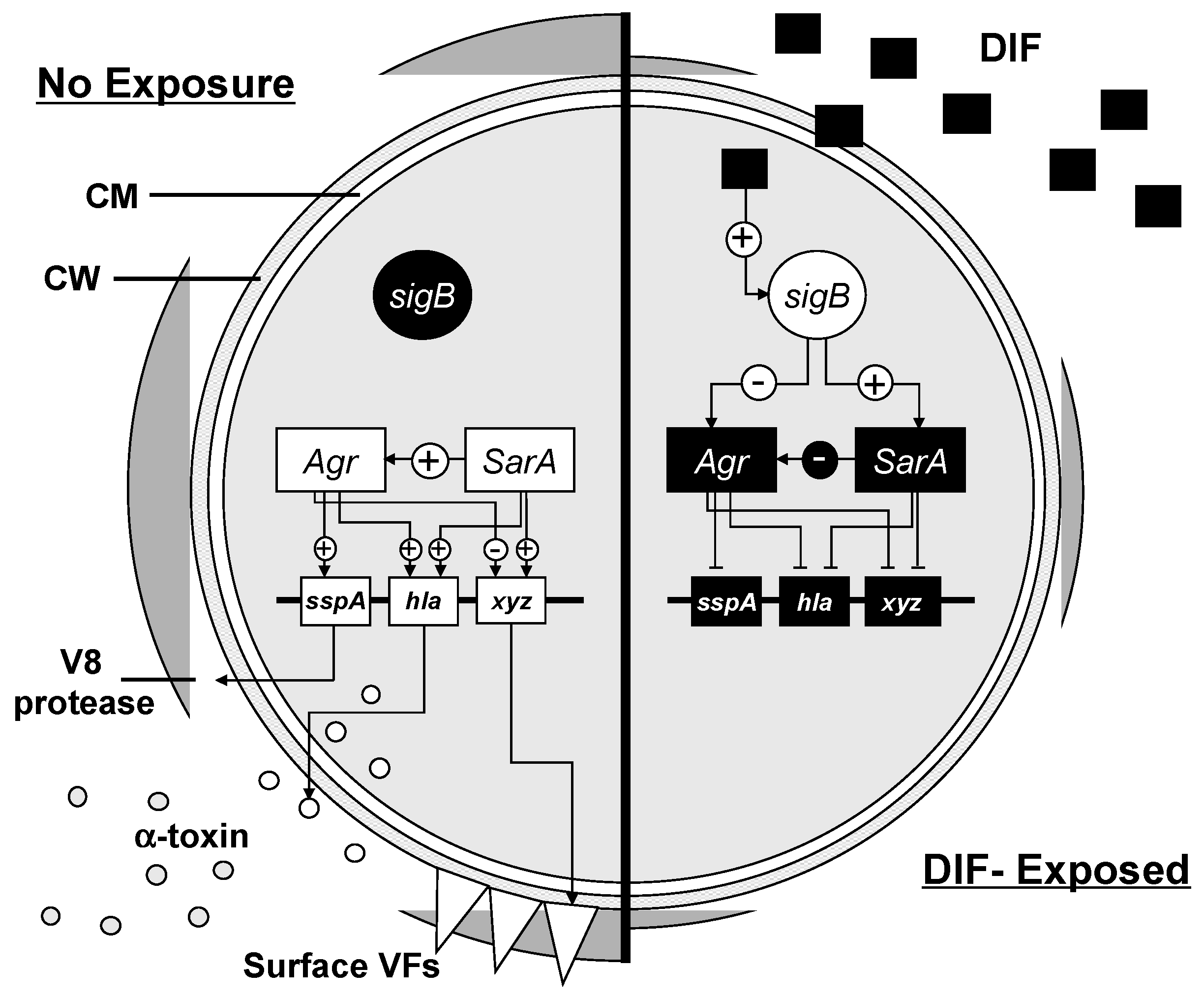 Antibiotics 12 00902 g008 Antibiotics 12 00902 g008
