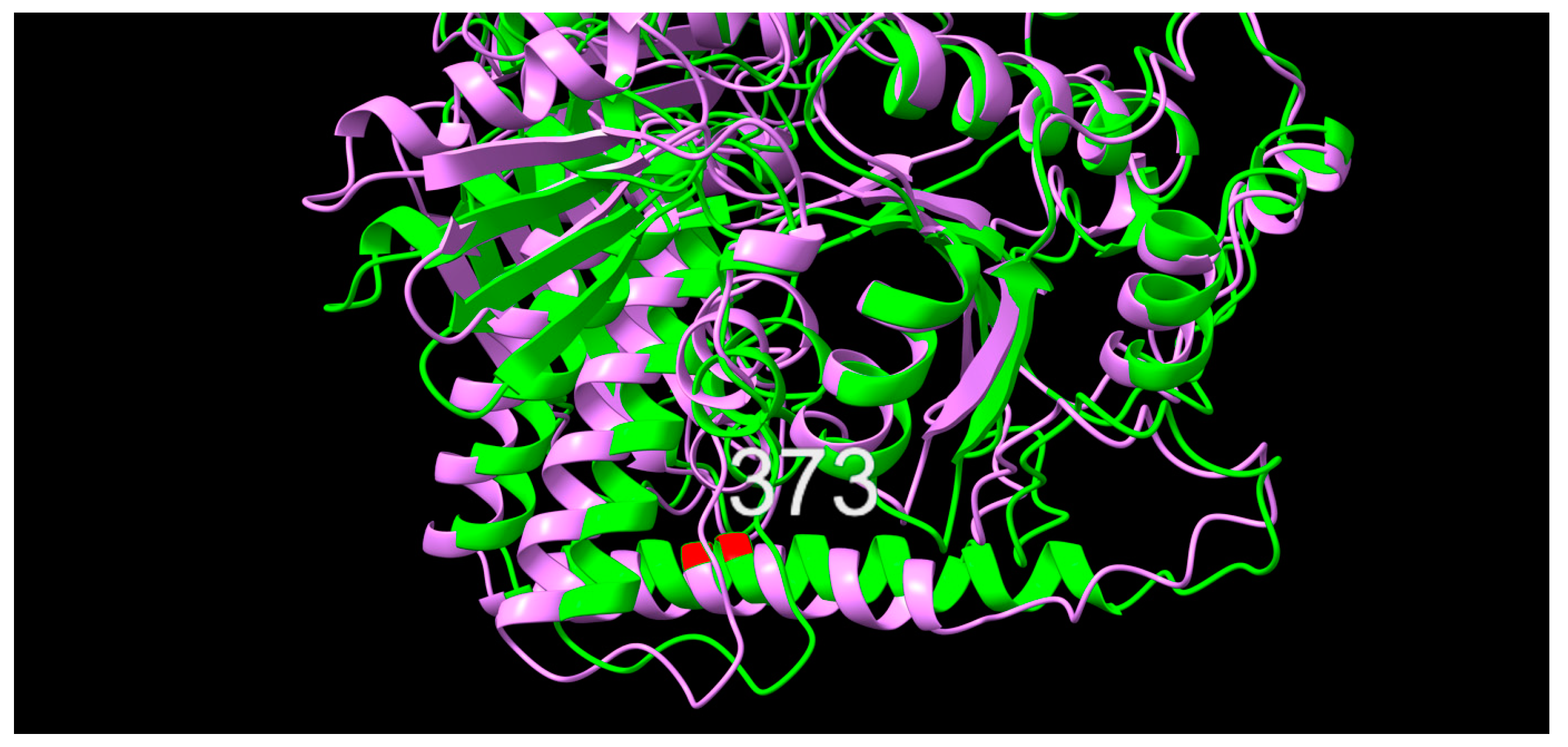 Antibiotics 12 00903 g007 Antibiotics 12 00903 g007