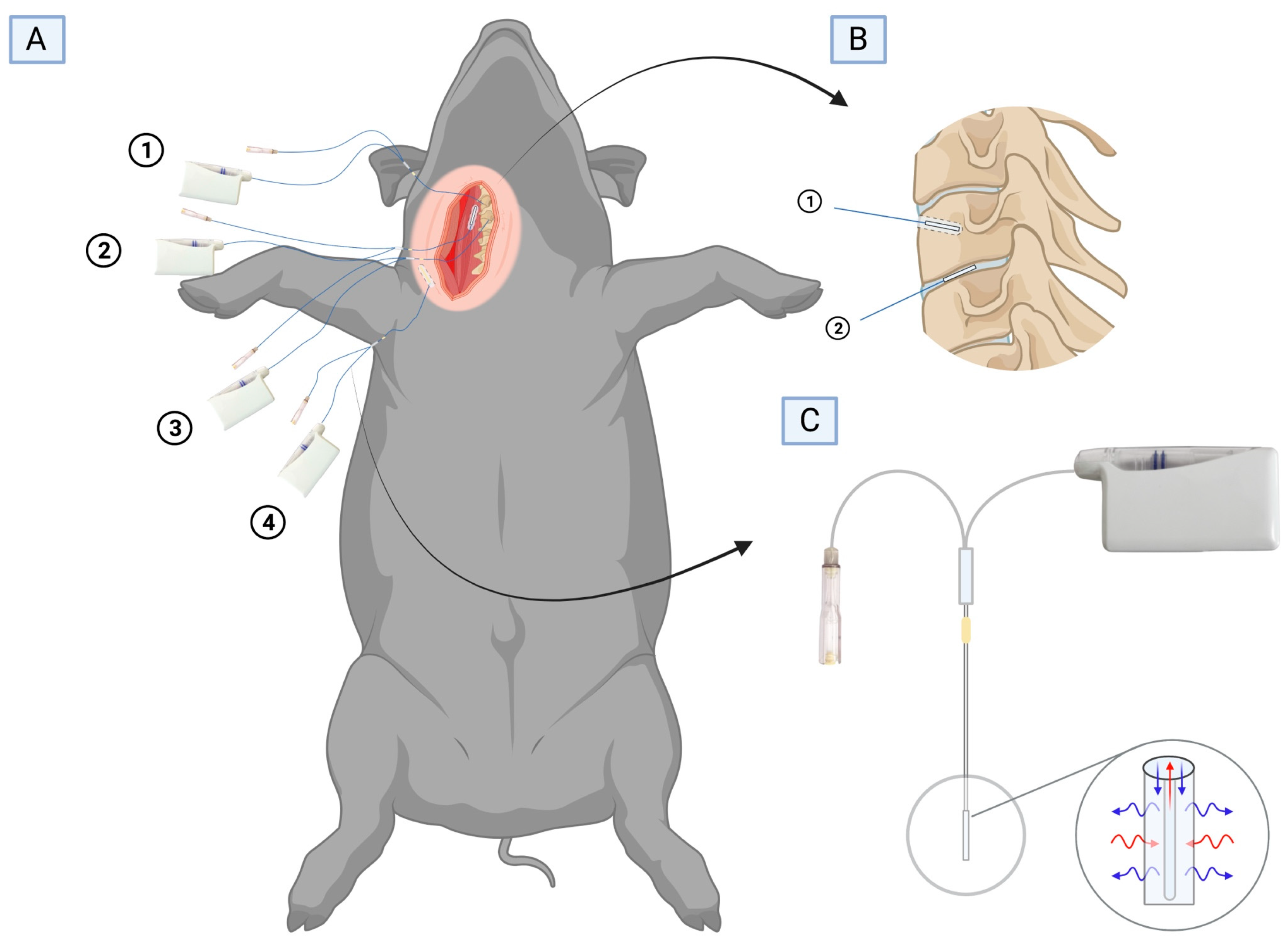 Antibiotics 12 00907 g003