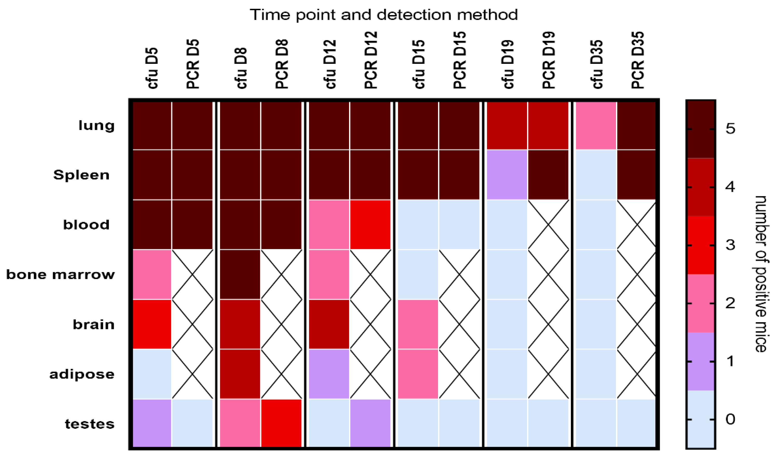 Antibiotics 12 00914 g002 Antibiotics 12 00914 g002