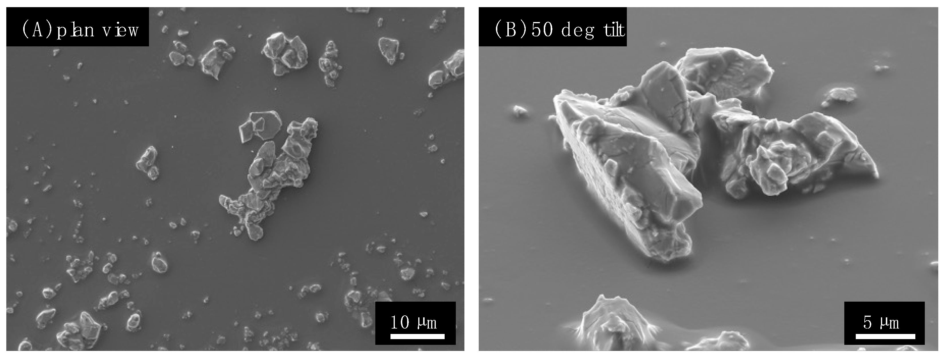 Antibiotics 12 00920 g002 Antibiotics 12 00920 g002
