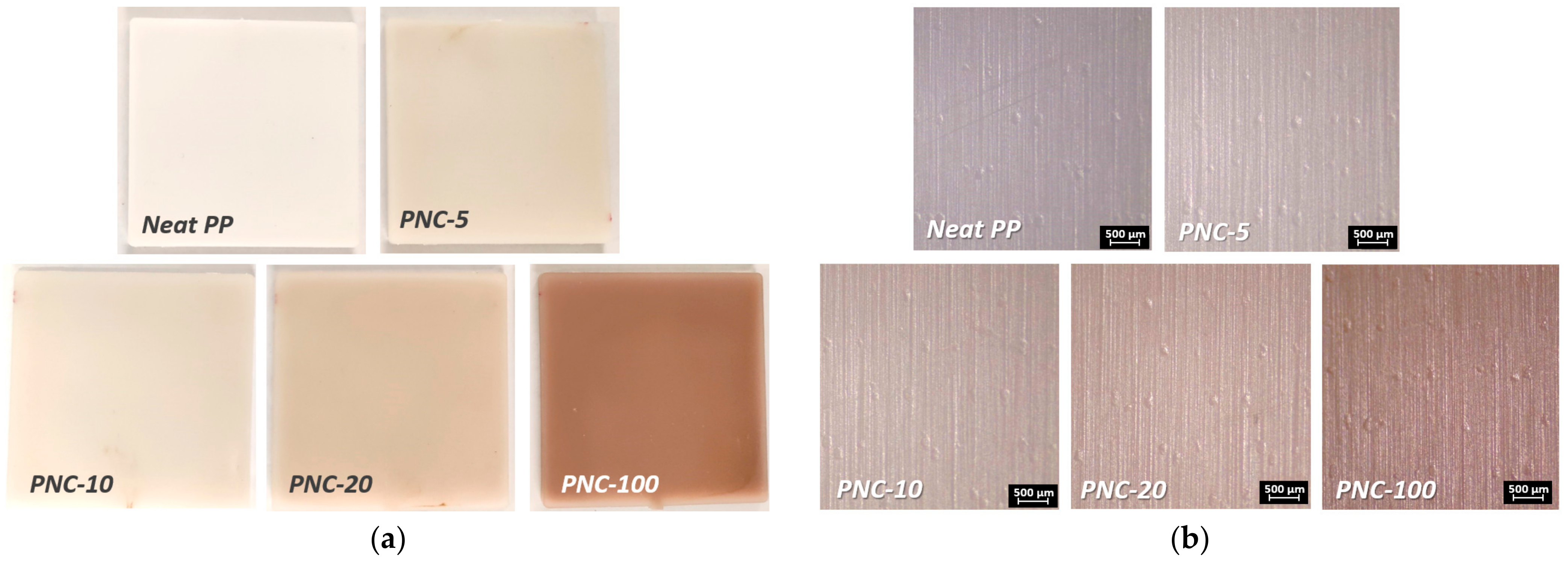 Antibiotics 12 00924 g001