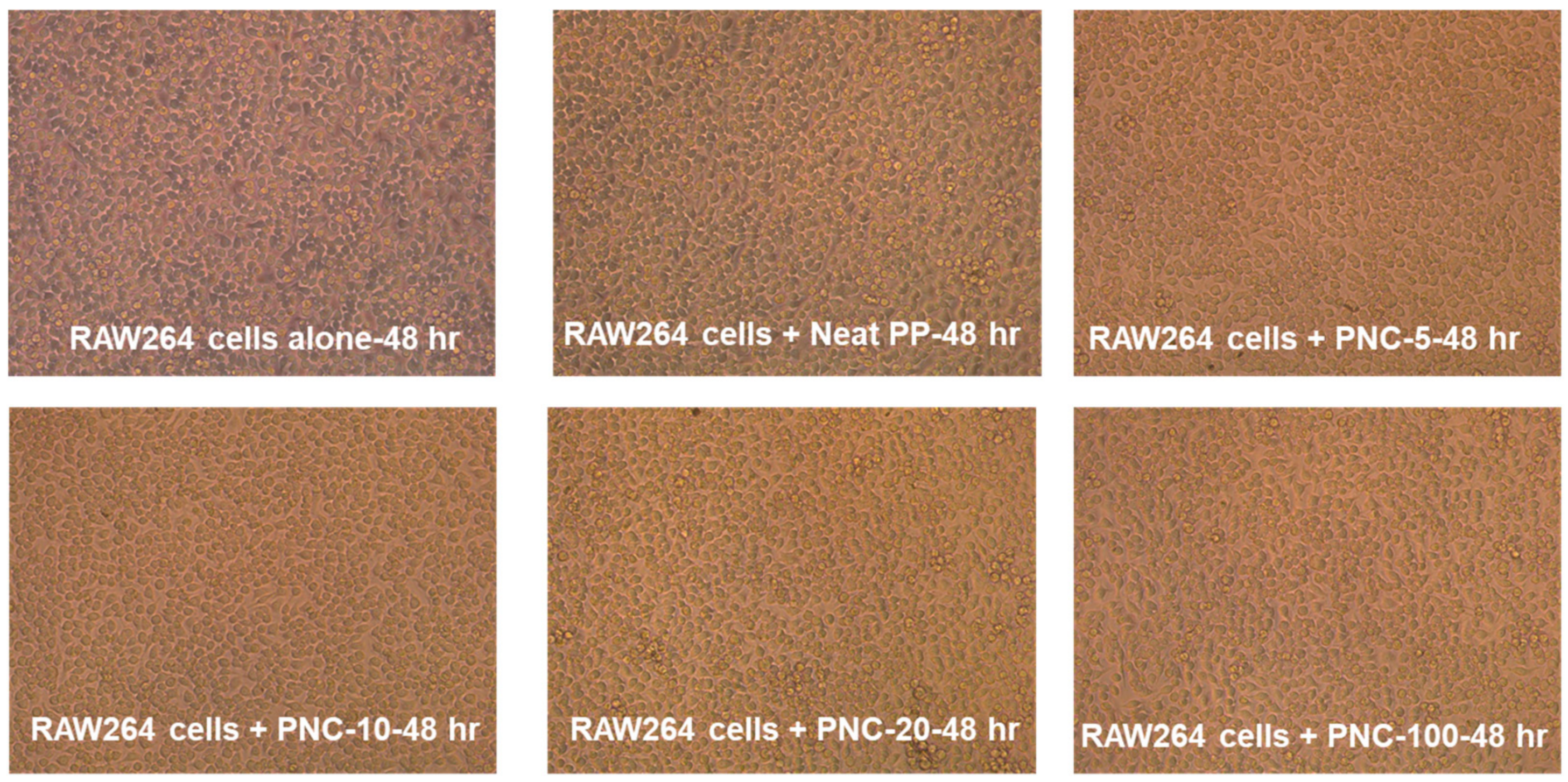 Antibiotics 12 00924 g005