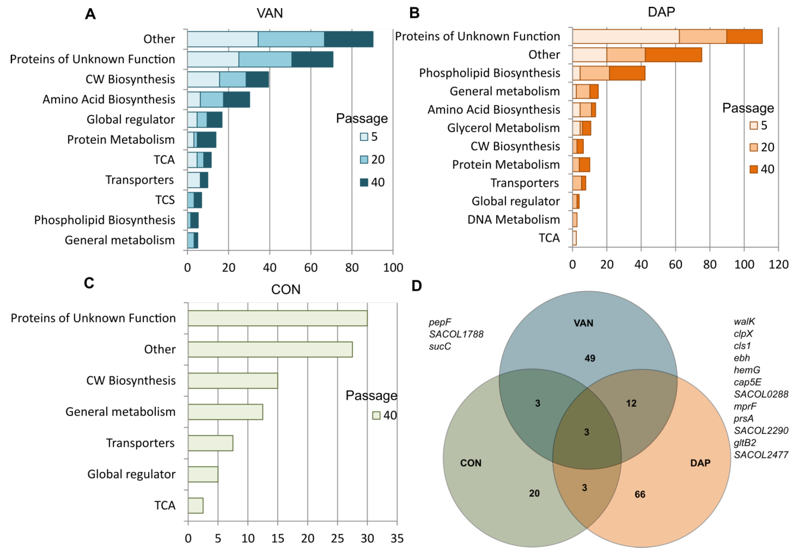 Antibiotics 12 00928 g005