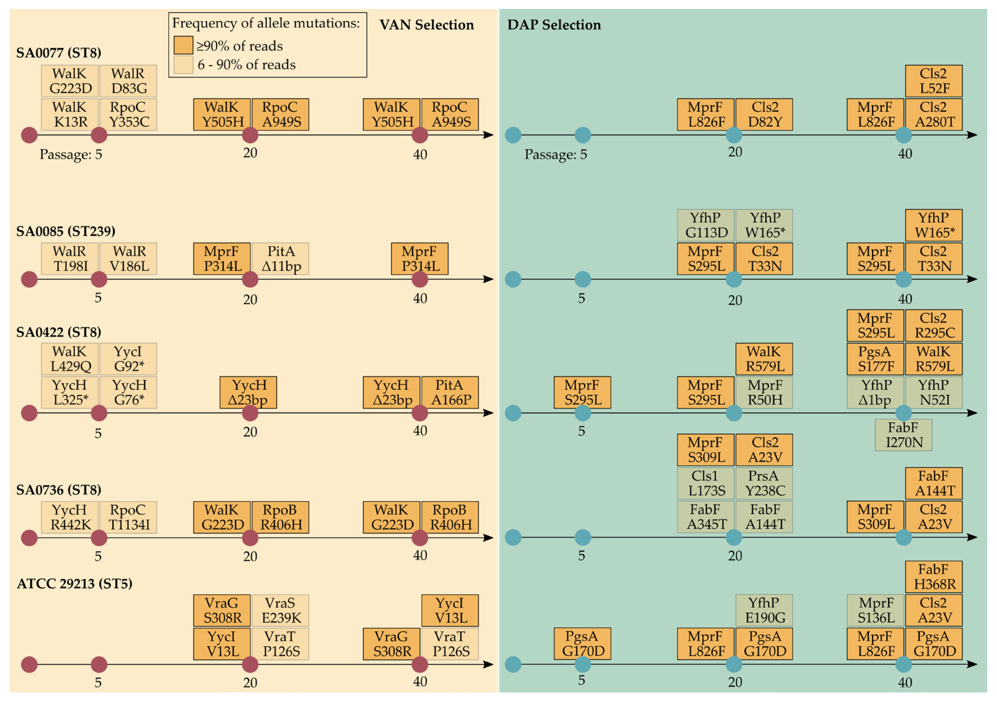 Antibiotics 12 00928 g006