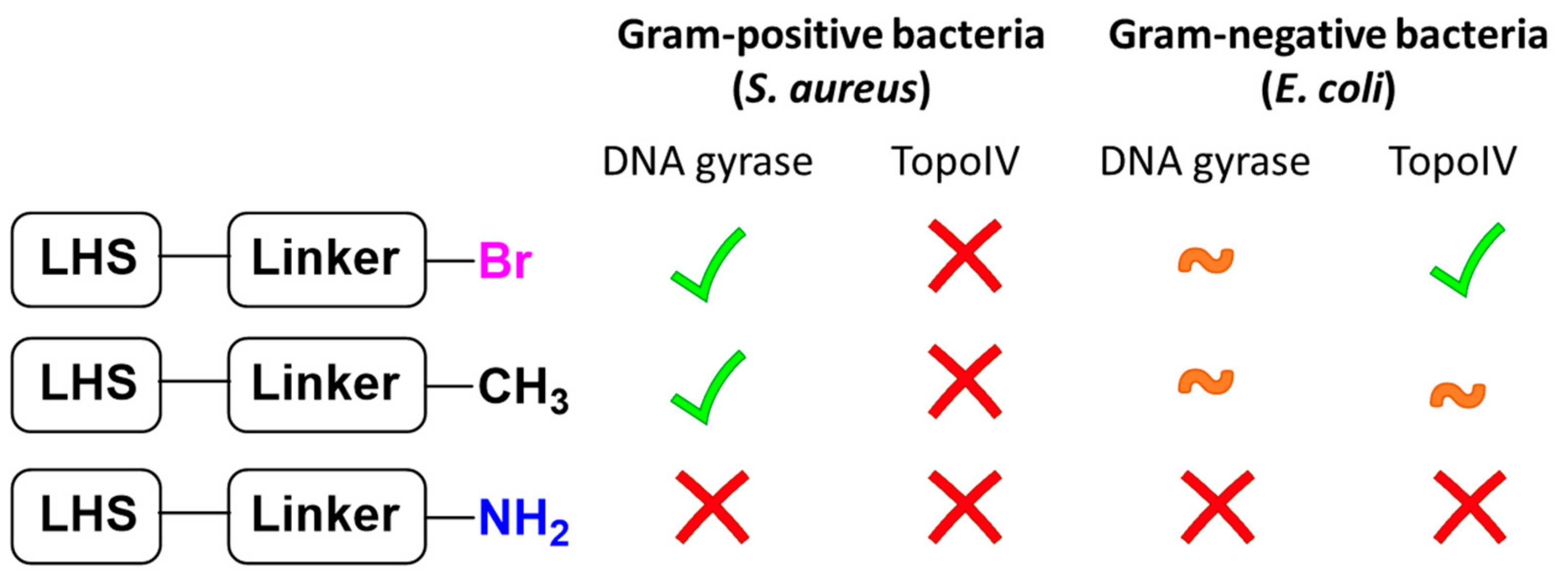 Antibiotics 12 00930 g004 Antibiotics 12 00930 g004