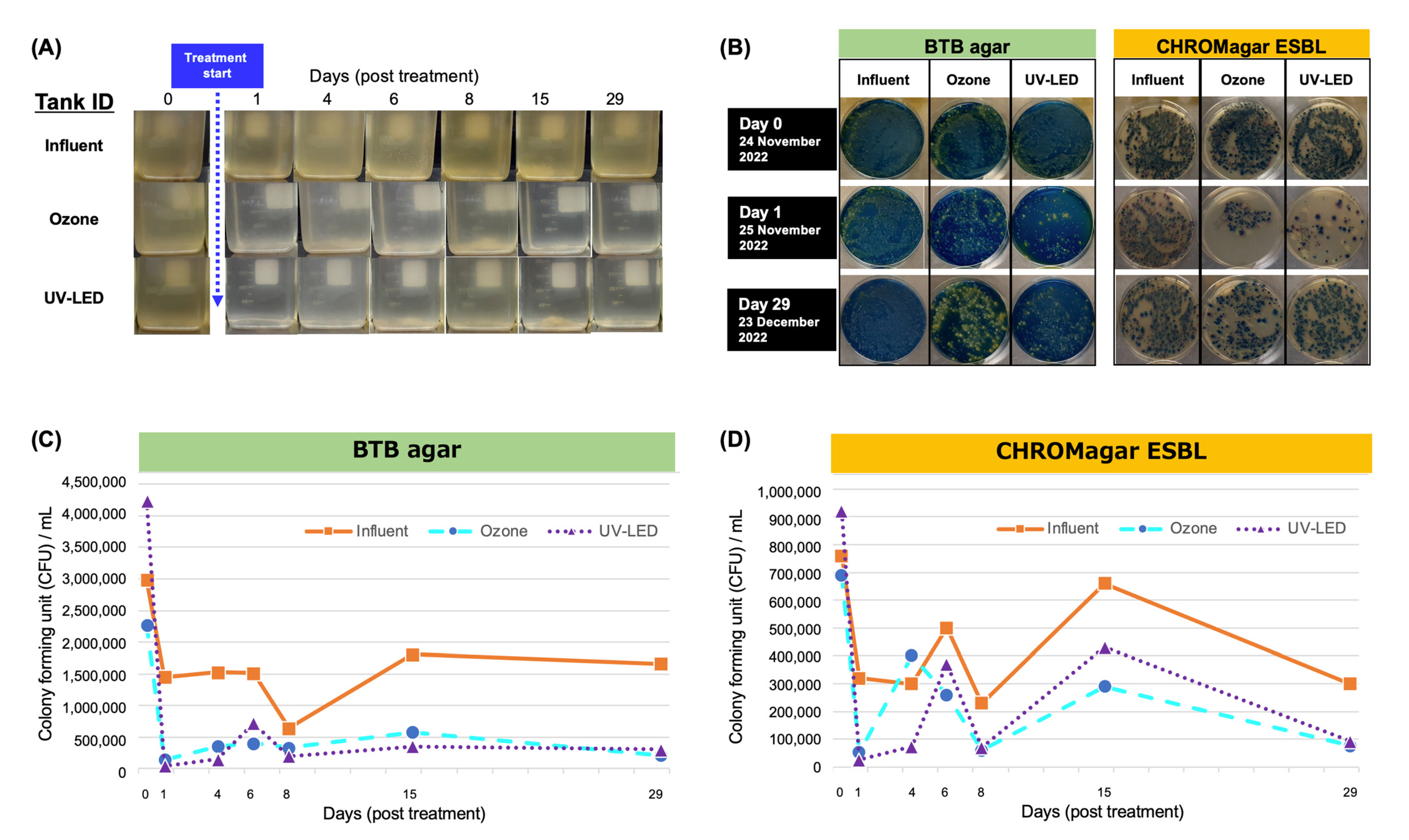 Antibiotics 12 00932 g002 Antibiotics 12 00932 g002