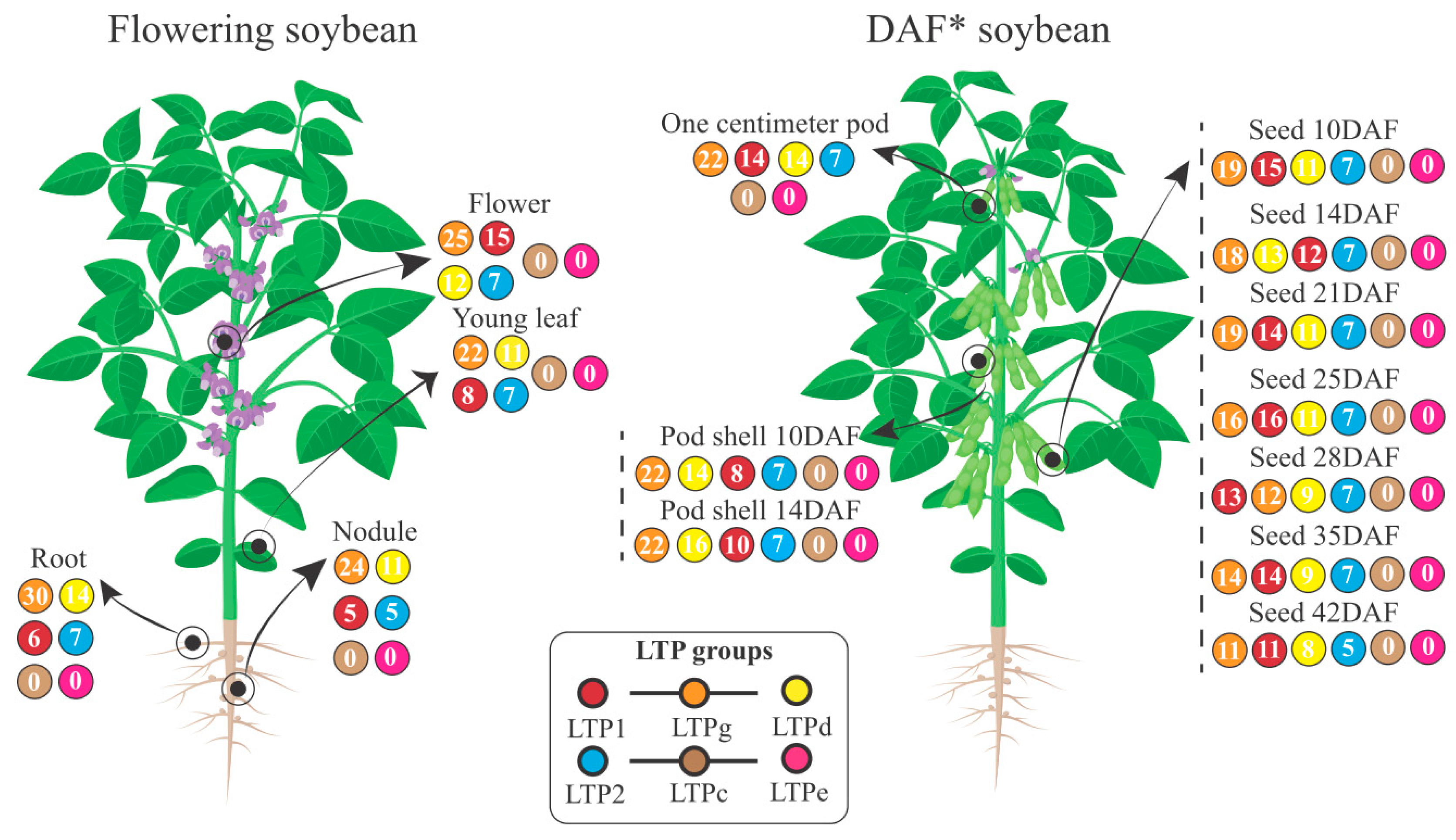 Antibiotics 12 00939 g008