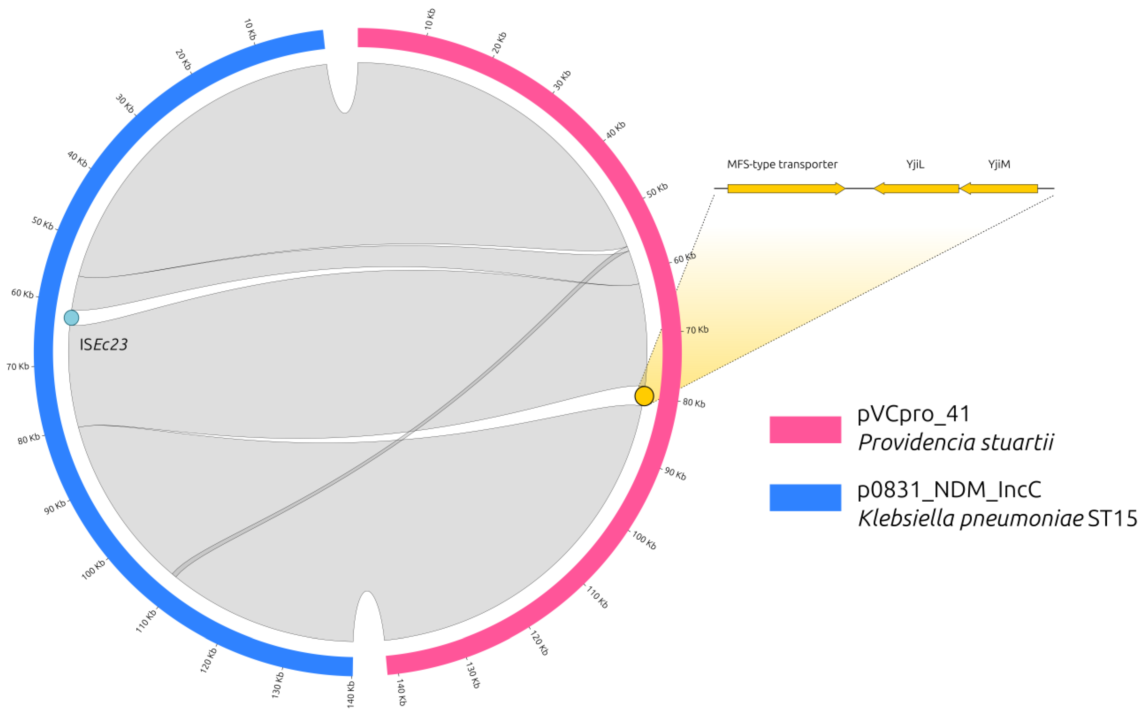 Antibiotics 12 00943 g001 Antibiotics 12 00943 g001