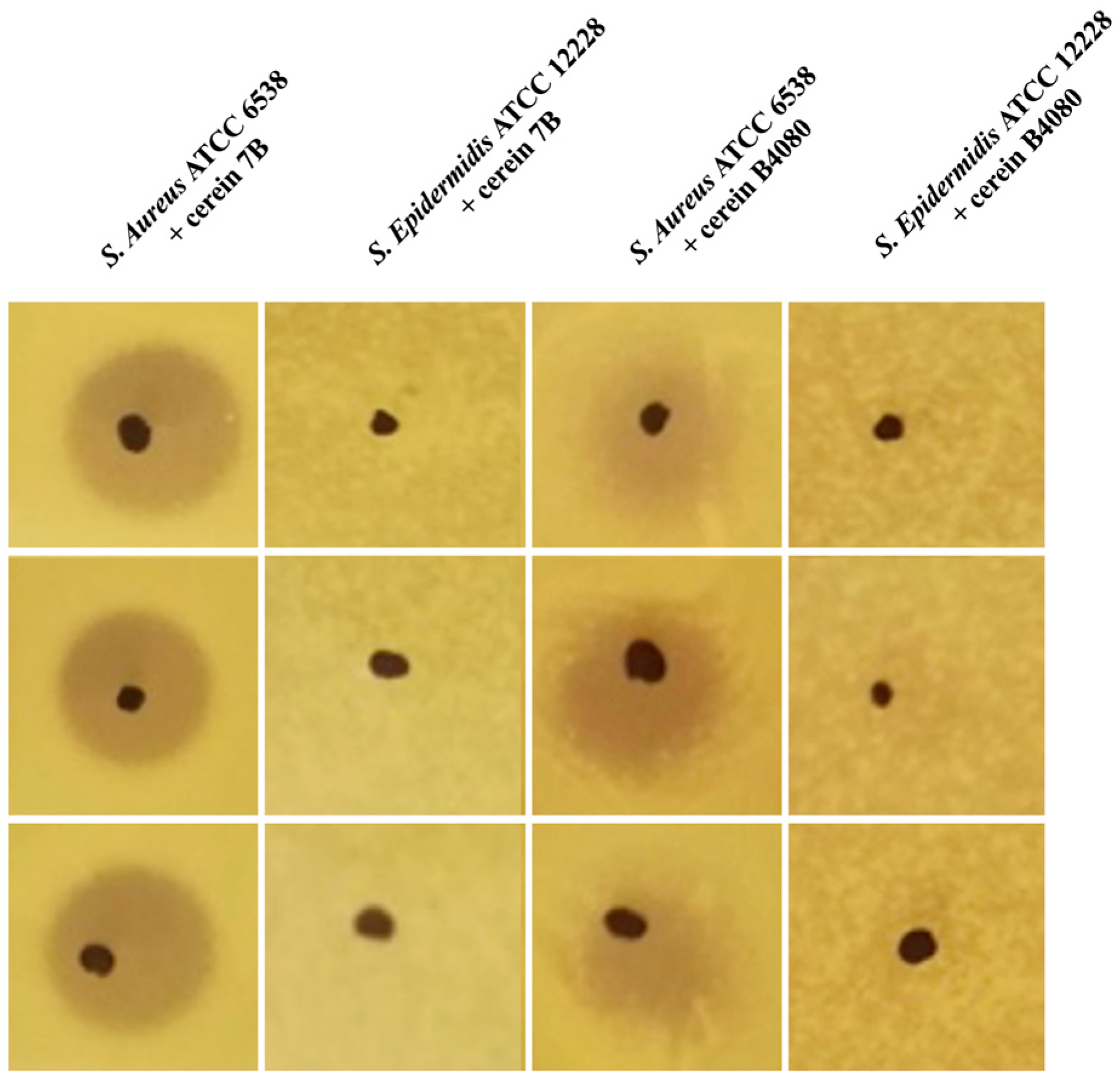 Antibiotics 12 00947 g001 Antibiotics 12 00947 g001