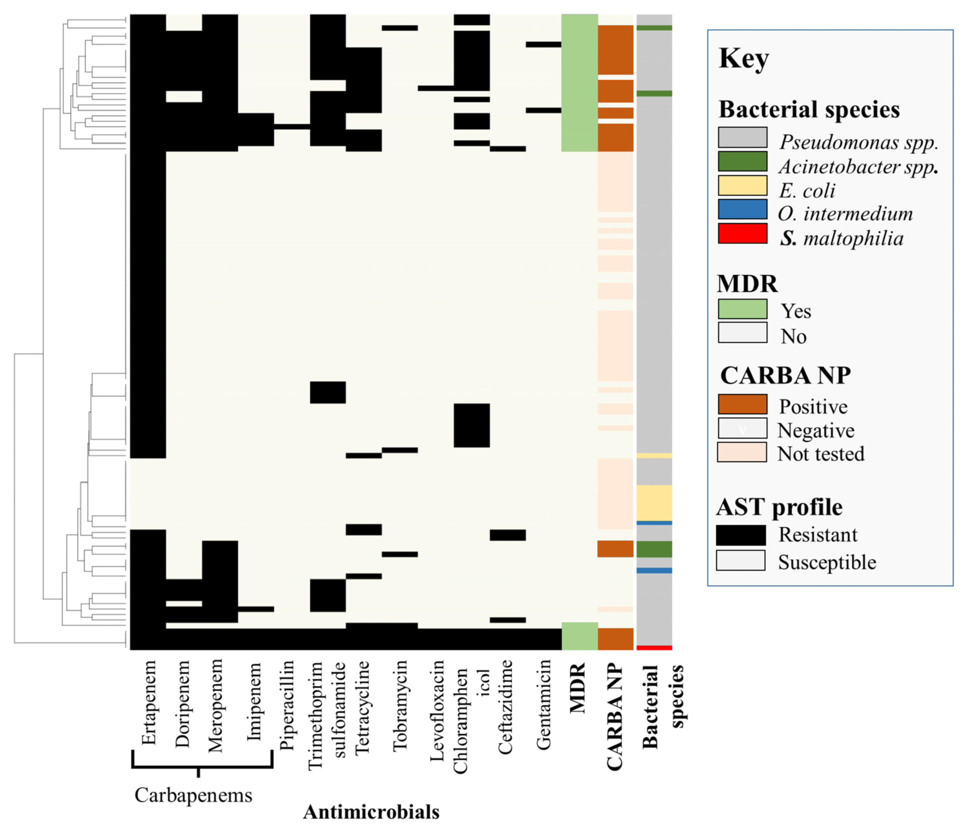 Antibiotics 12 00960 g001 Antibiotics 12 00960 g001