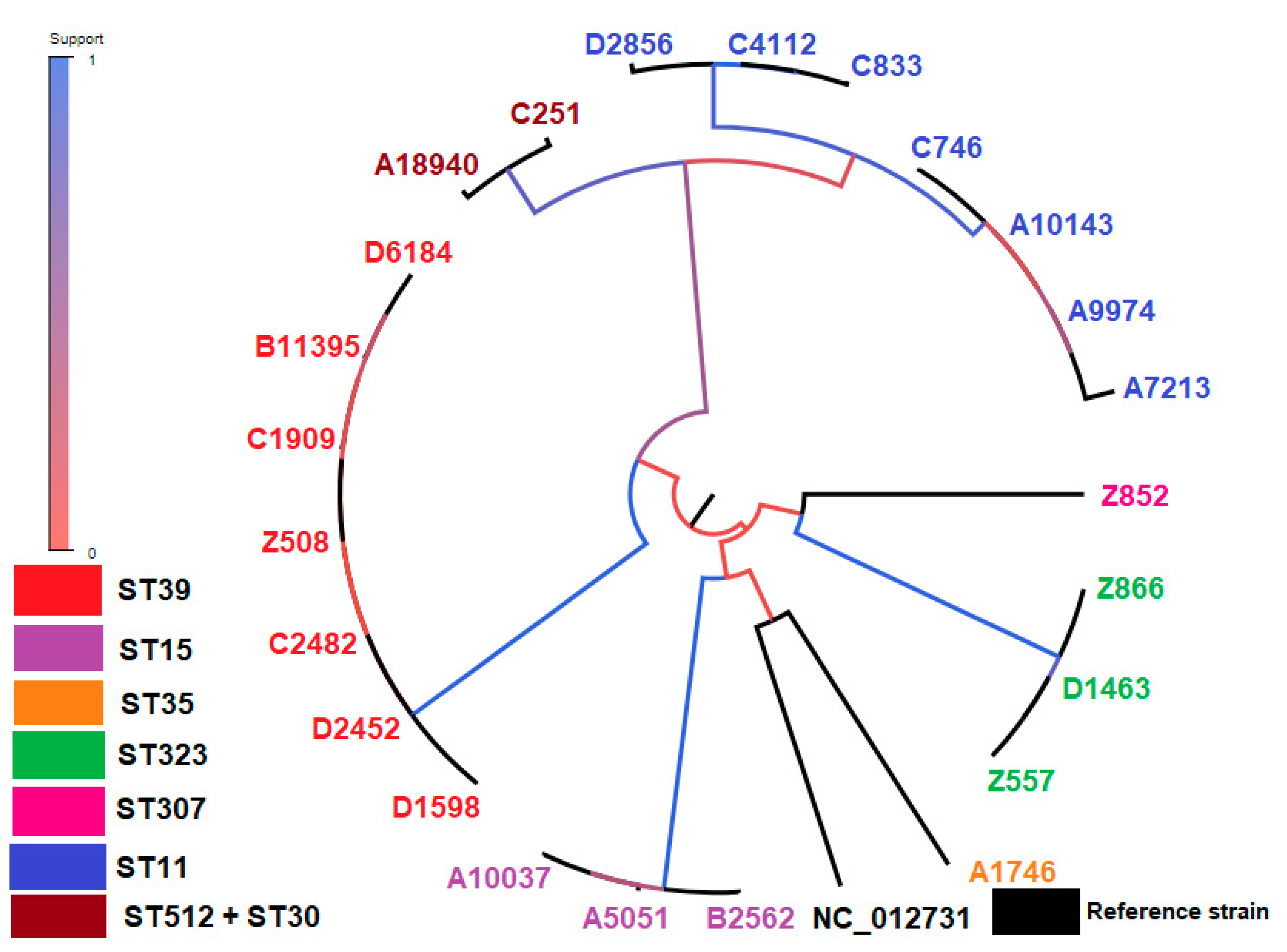 Antibiotics 12 00976 g003 Antibiotics 12 00976 g003