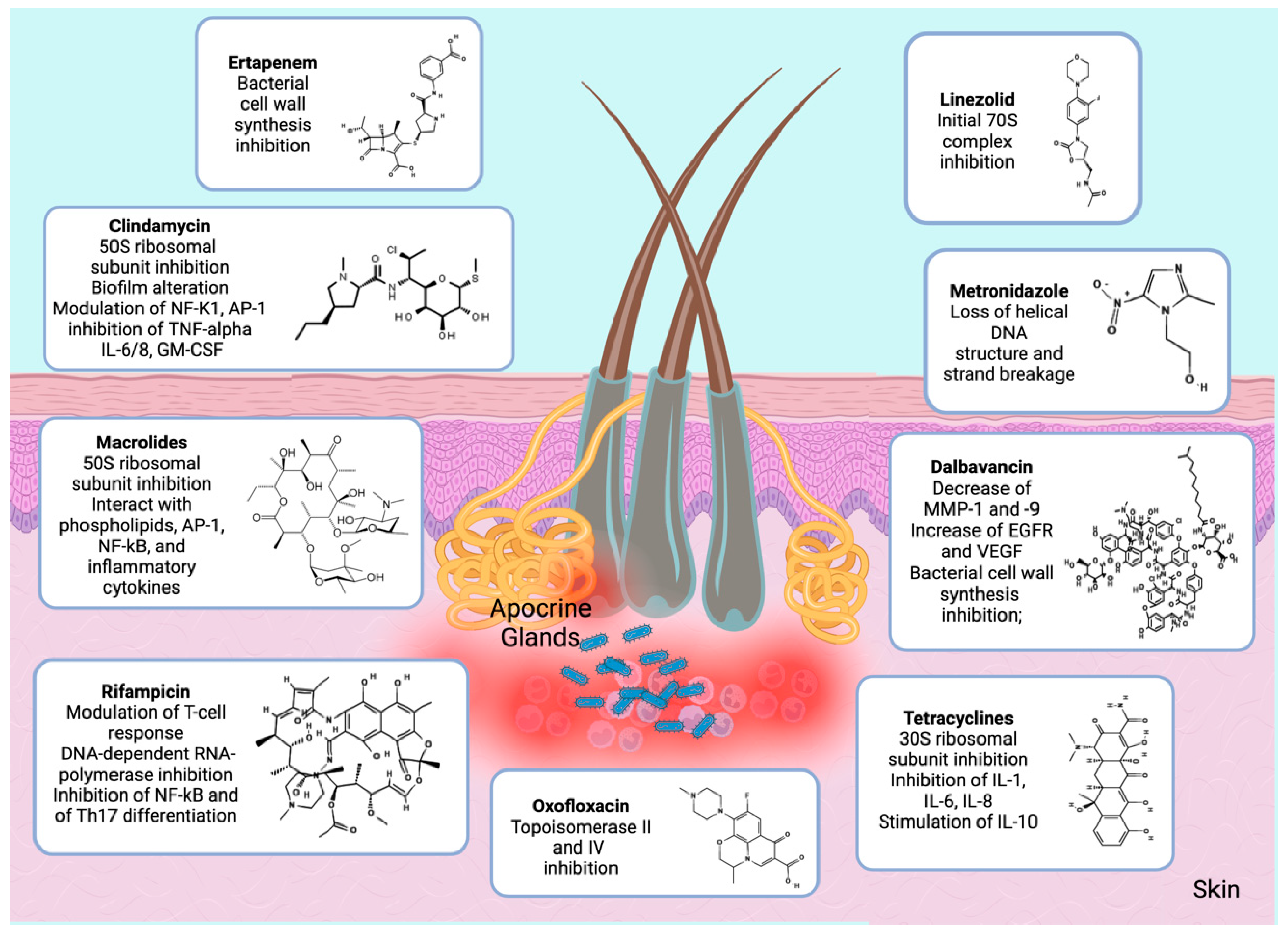 Antibiotics Free Full Text Systemic Antibiotic Therapy in