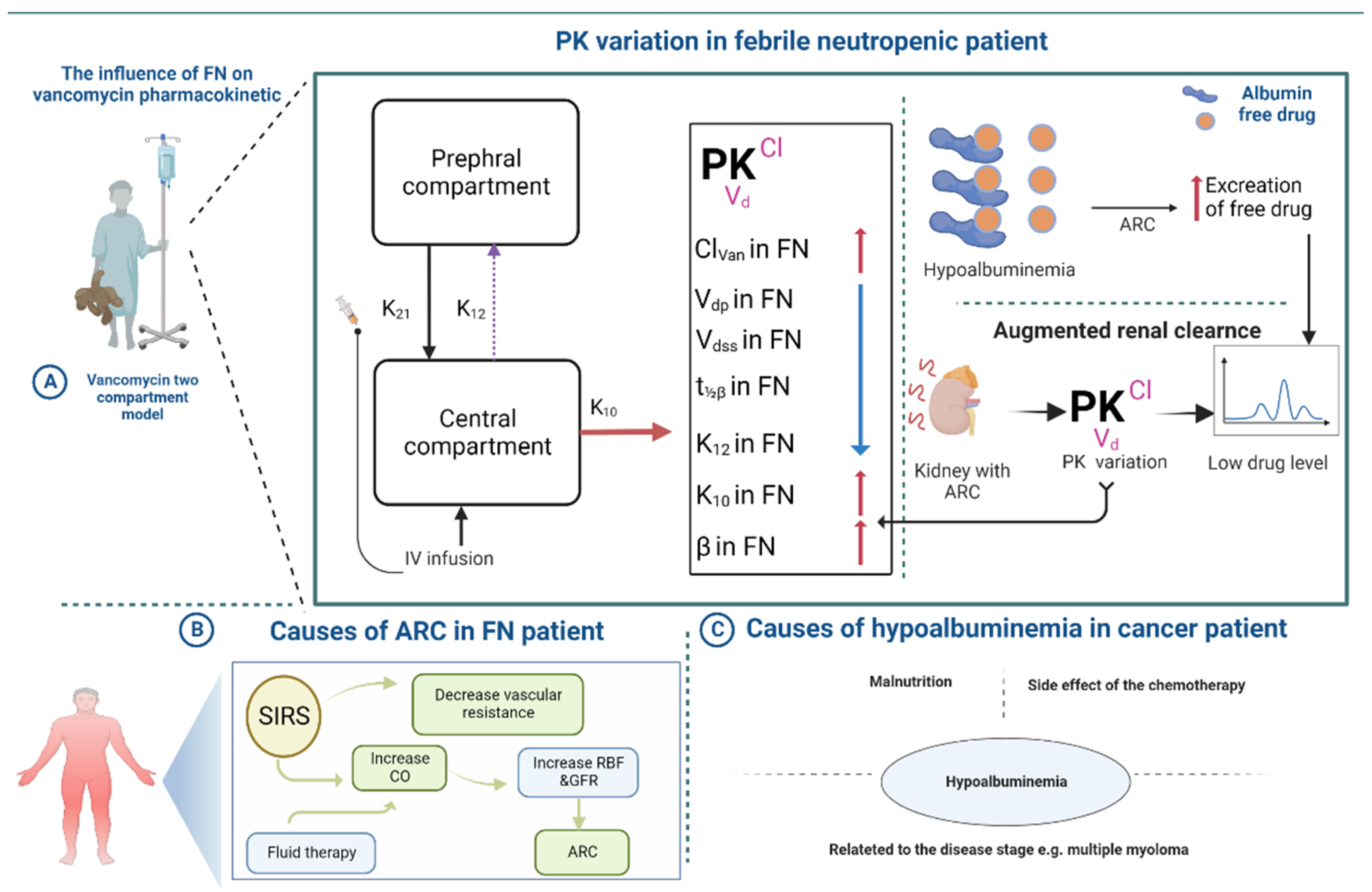 Antibiotics 12 00979 g005