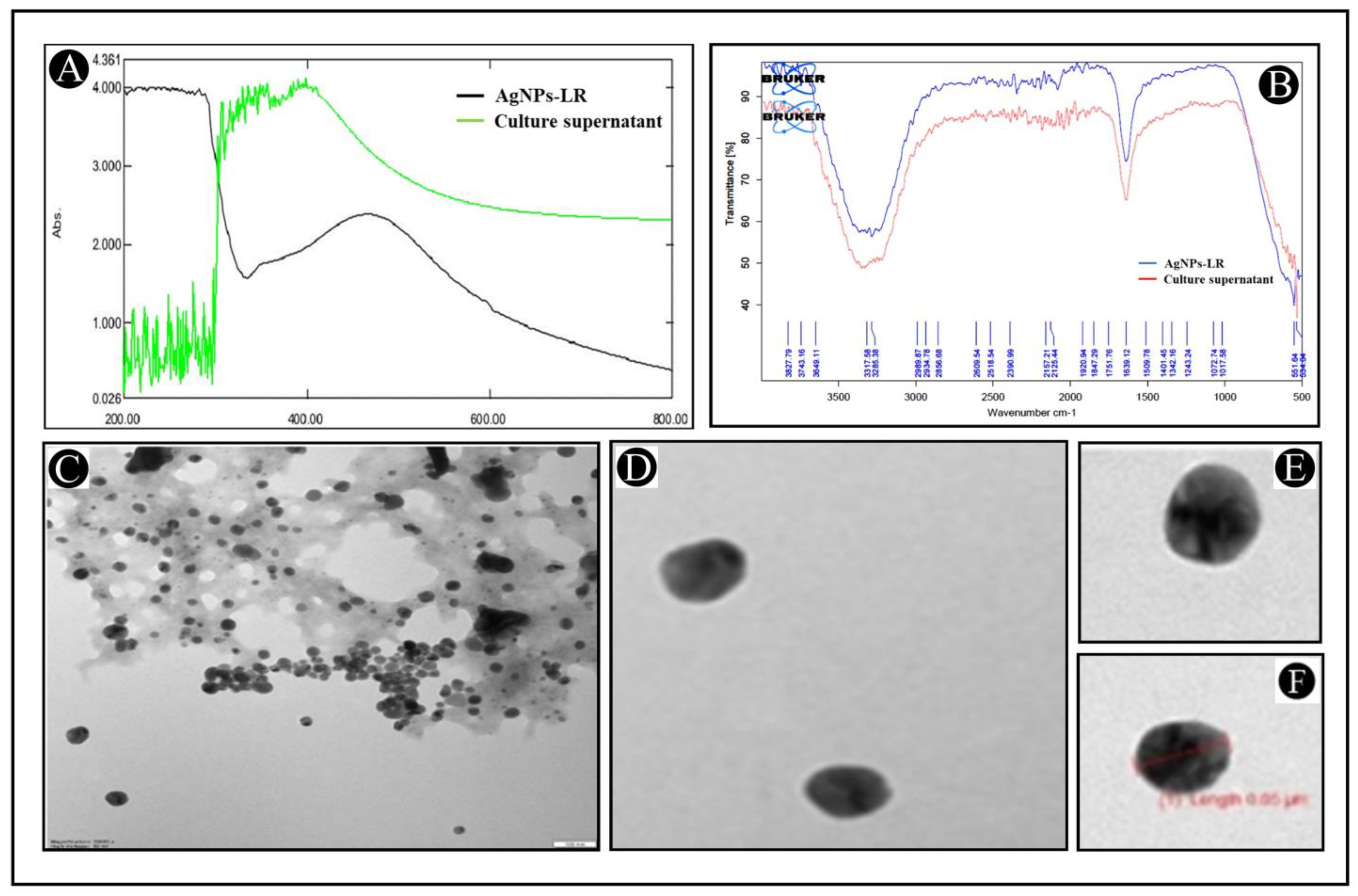 Antibiotics 12 00986 g001 Antibiotics 12 00986 g001