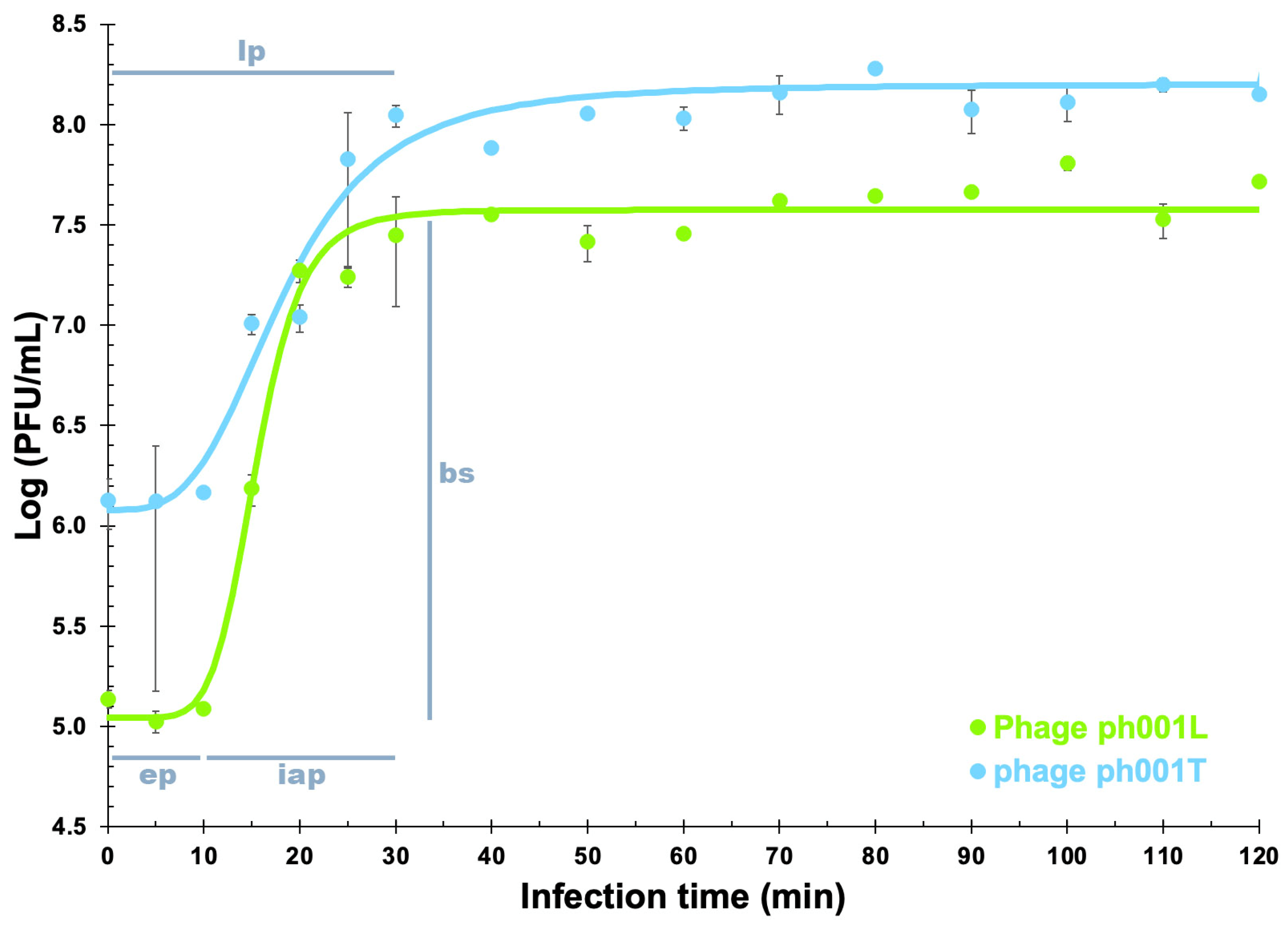 Antibiotics 12 00988 g004 Antibiotics 12 00988 g004