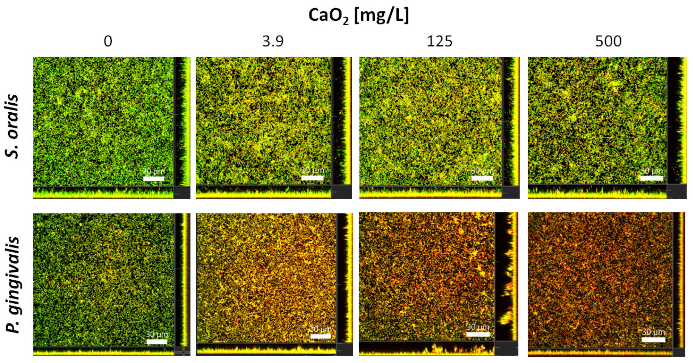 Antibiotics 12 00990 g004 Antibiotics 12 00990 g004