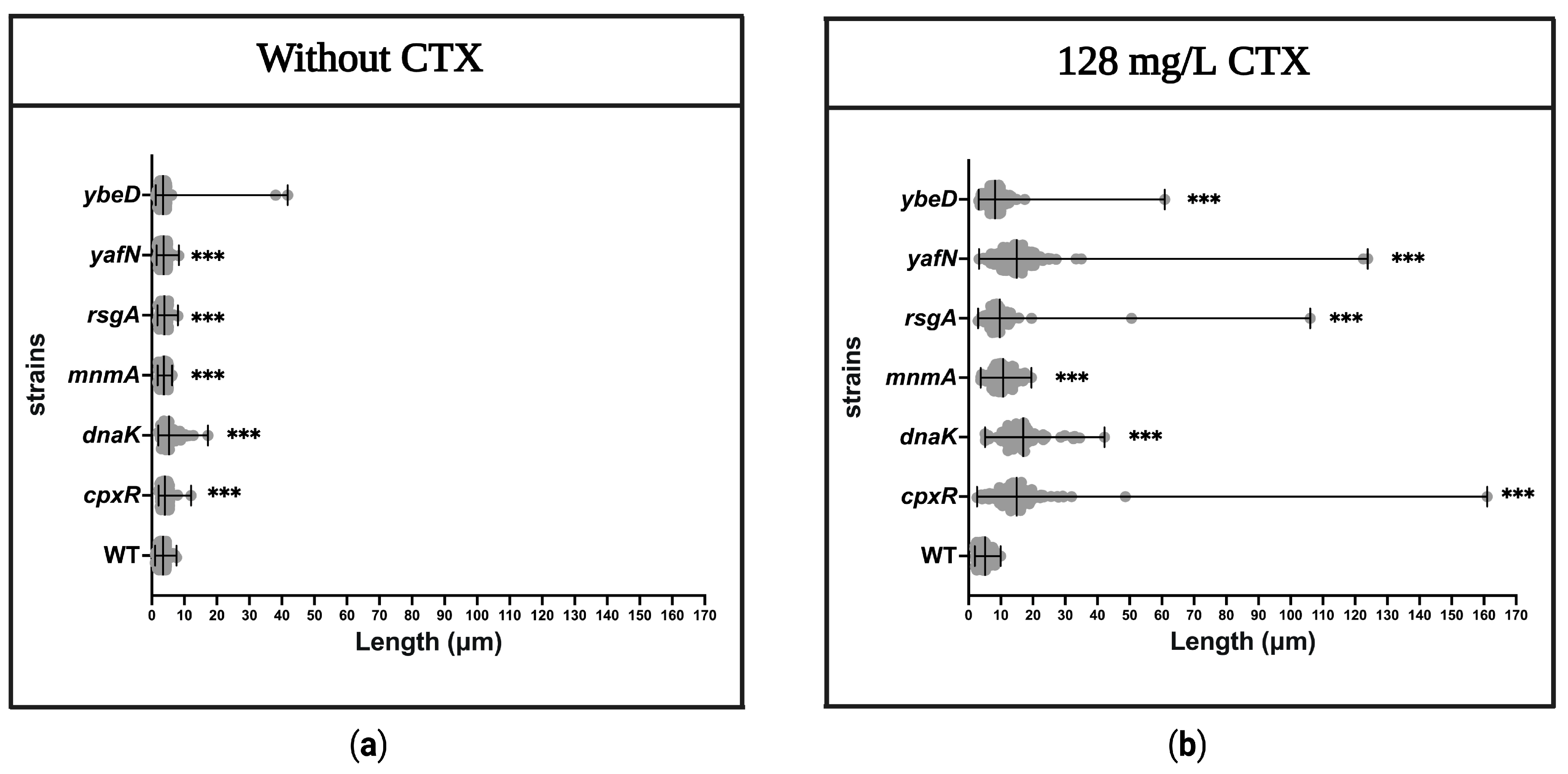 Antibiotics 12 00993 g006 Antibiotics 12 00993 g006