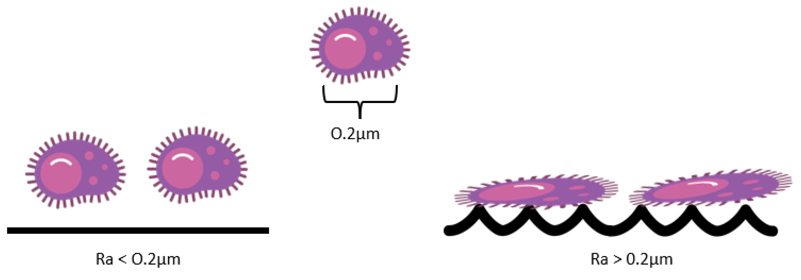 Antibiotics 12 00994 g002 Antibiotics 12 00994 g002