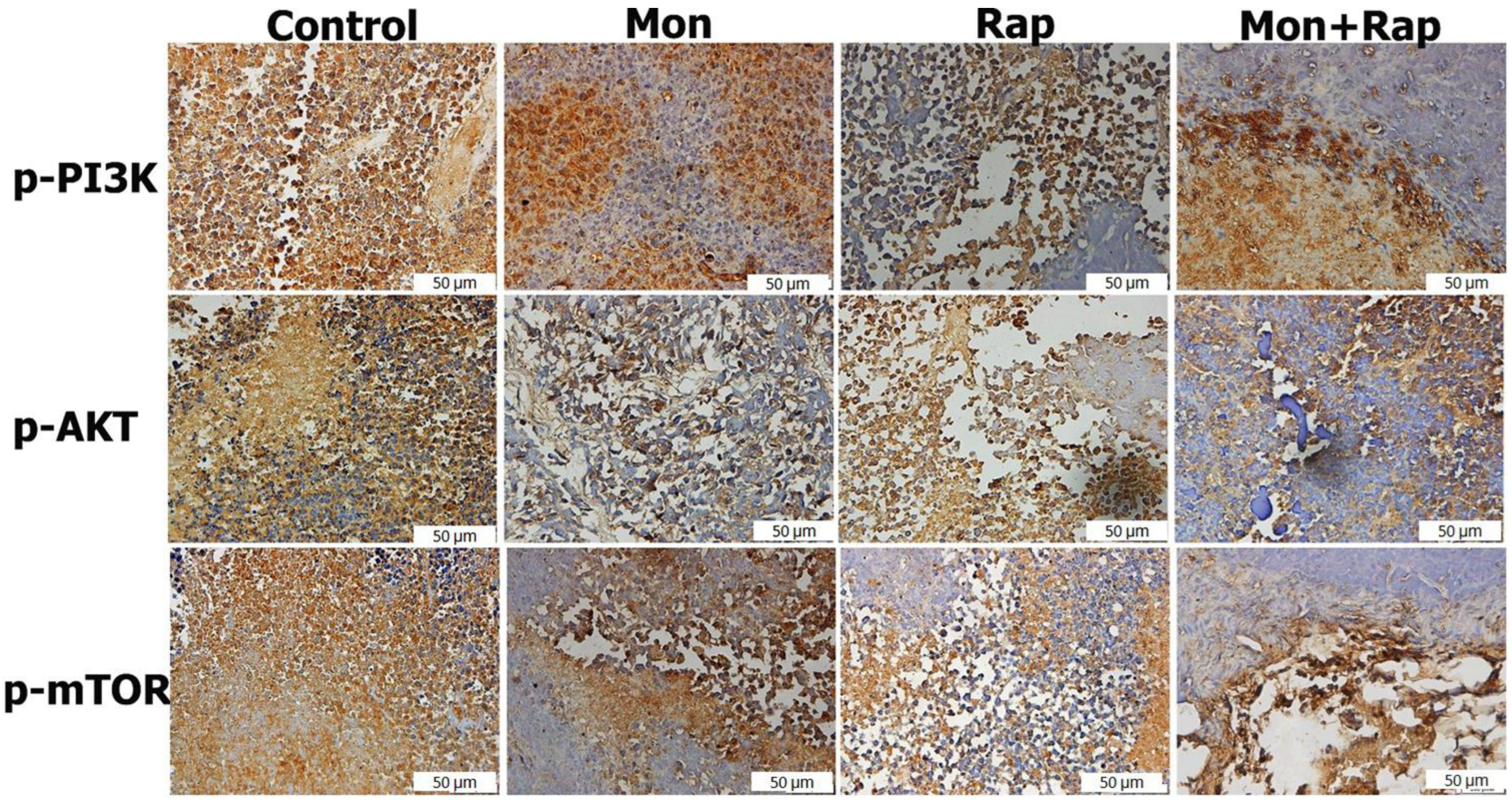 Antibiotics 12 00995 g003 Antibiotics 12 00995 g003