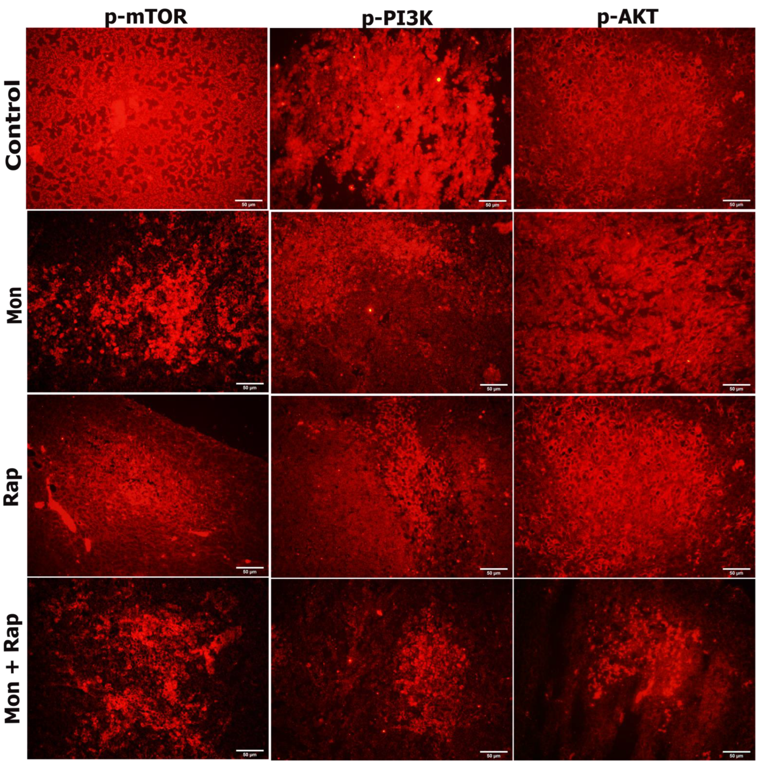 Antibiotics 12 00995 g005 Antibiotics 12 00995 g005
