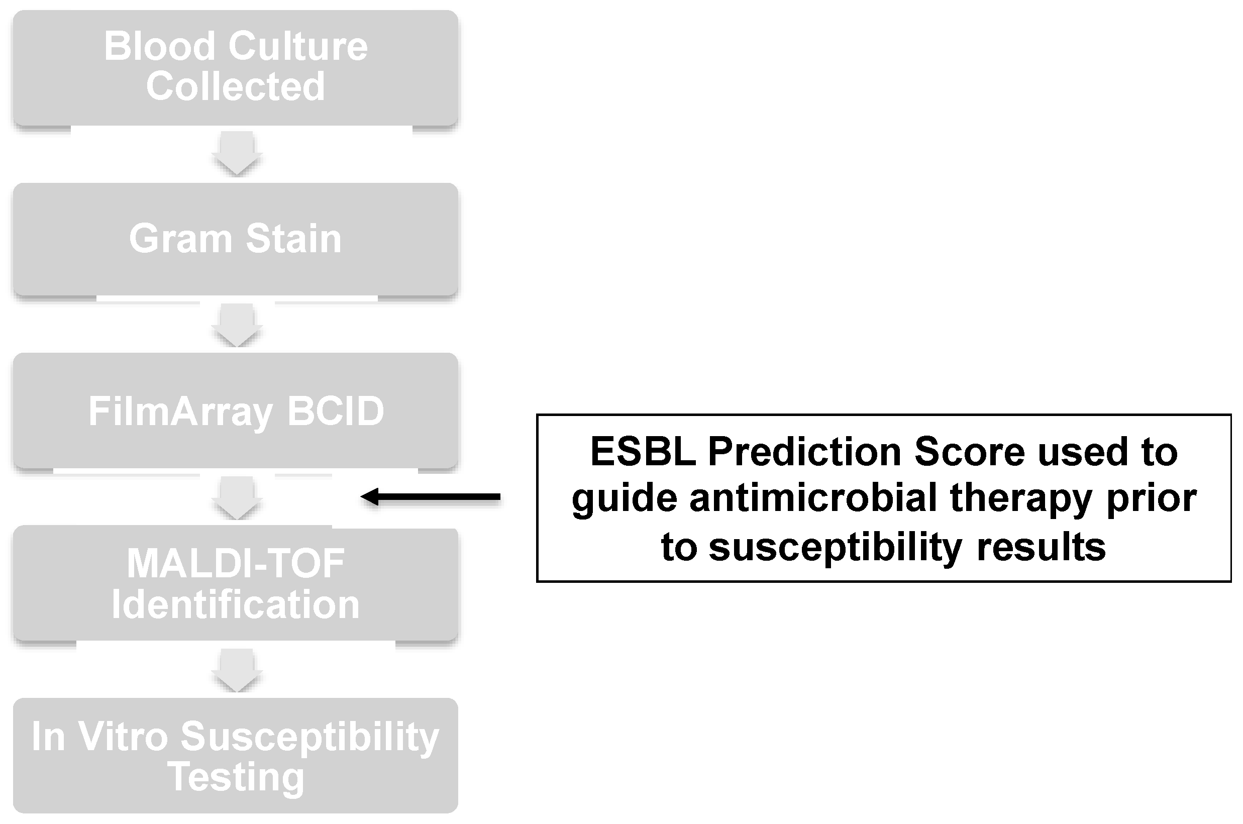 Antibiotics 12 01003 g004 Antibiotics 12 01003 g004