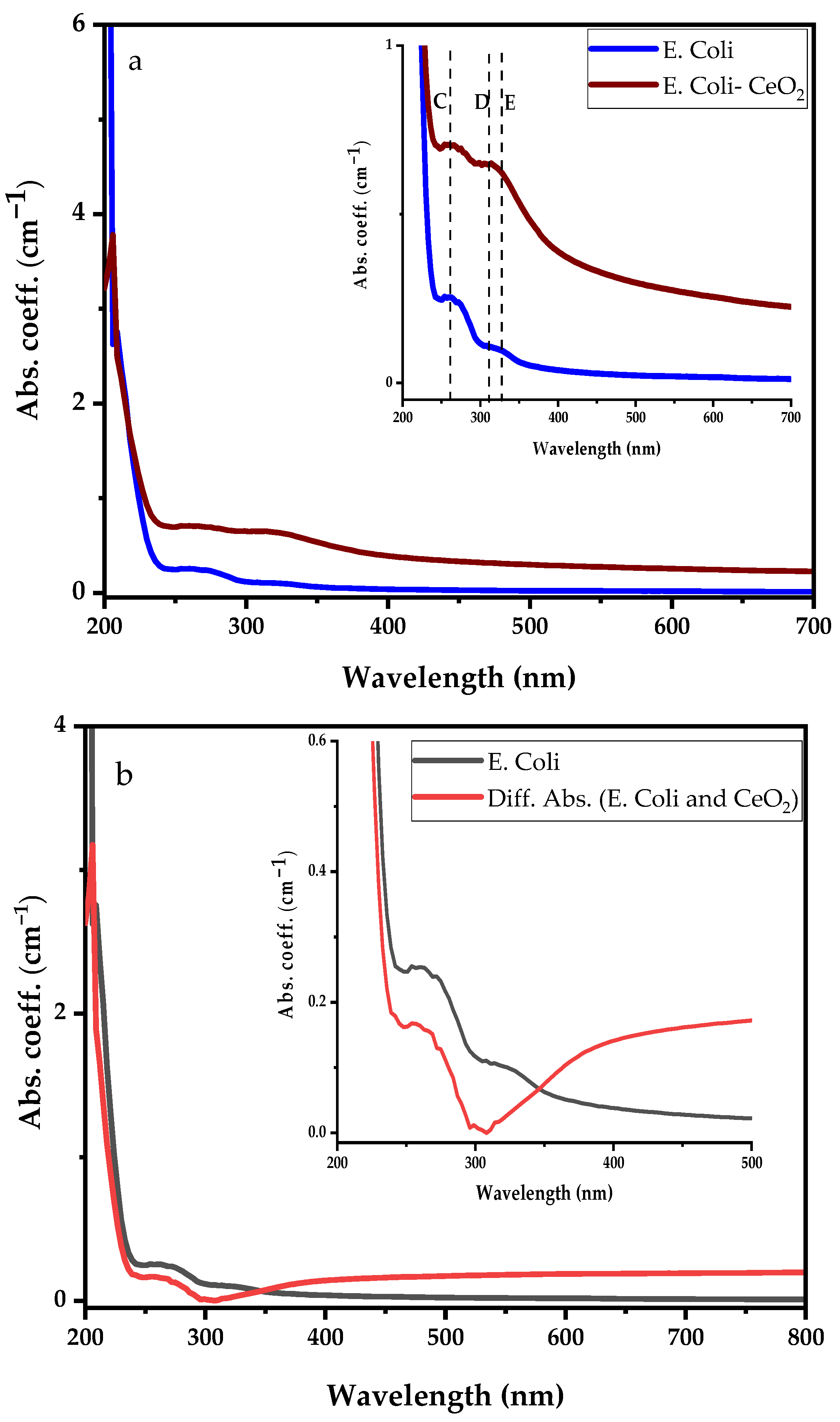 Antibiotics 12 01004 g005
