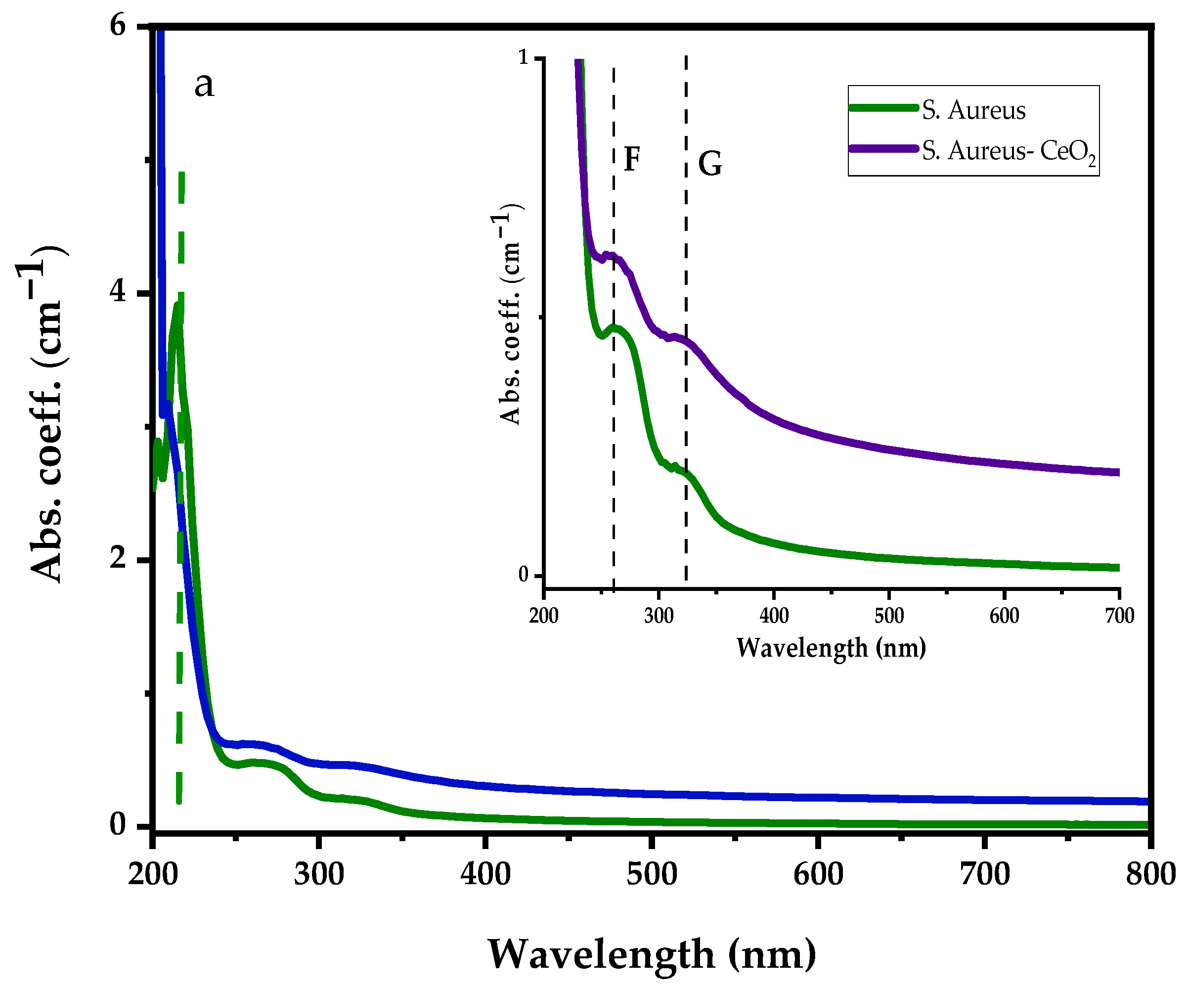 Antibiotics 12 01004 g006a
