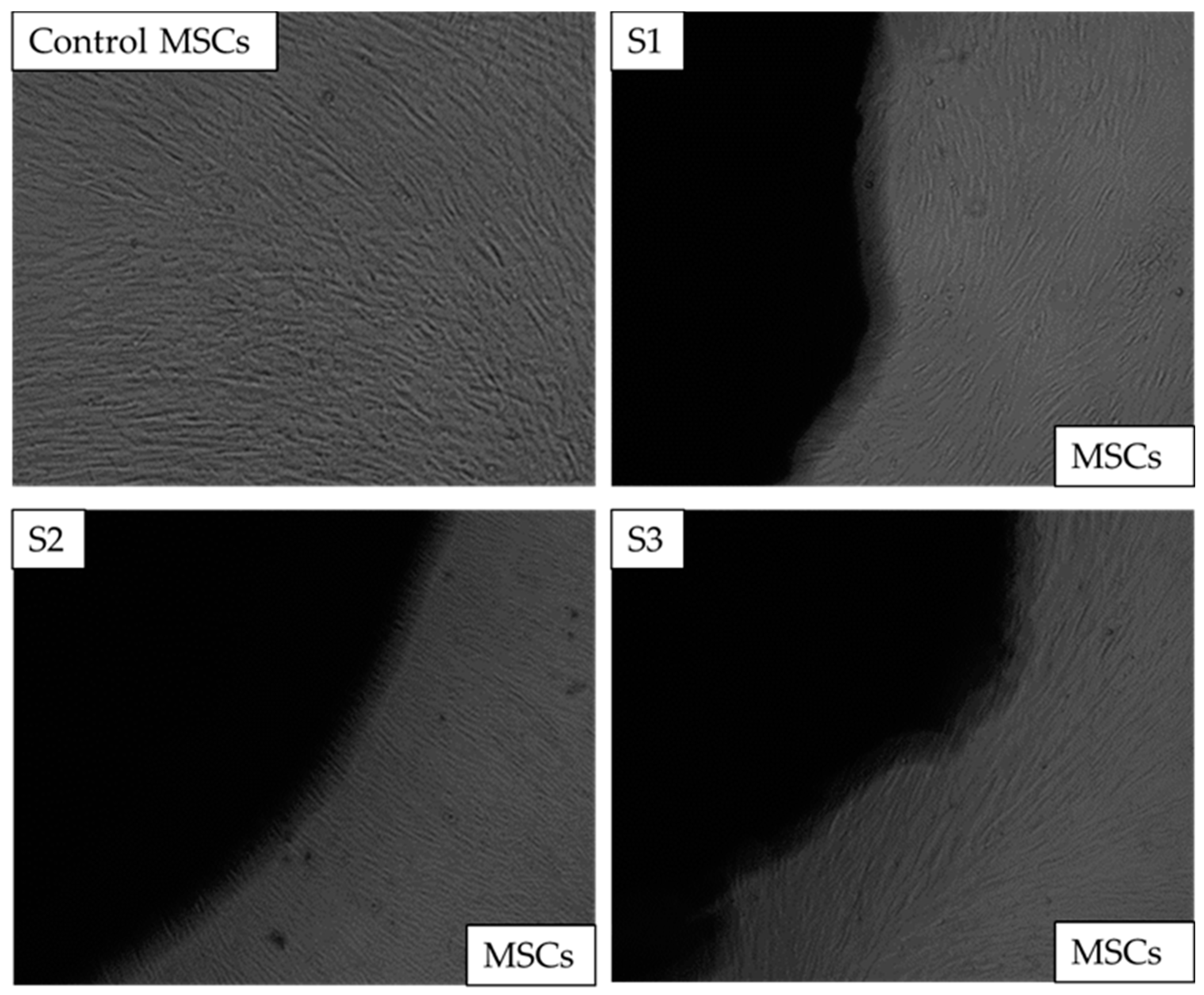 Antibiotics 12 01004 g008