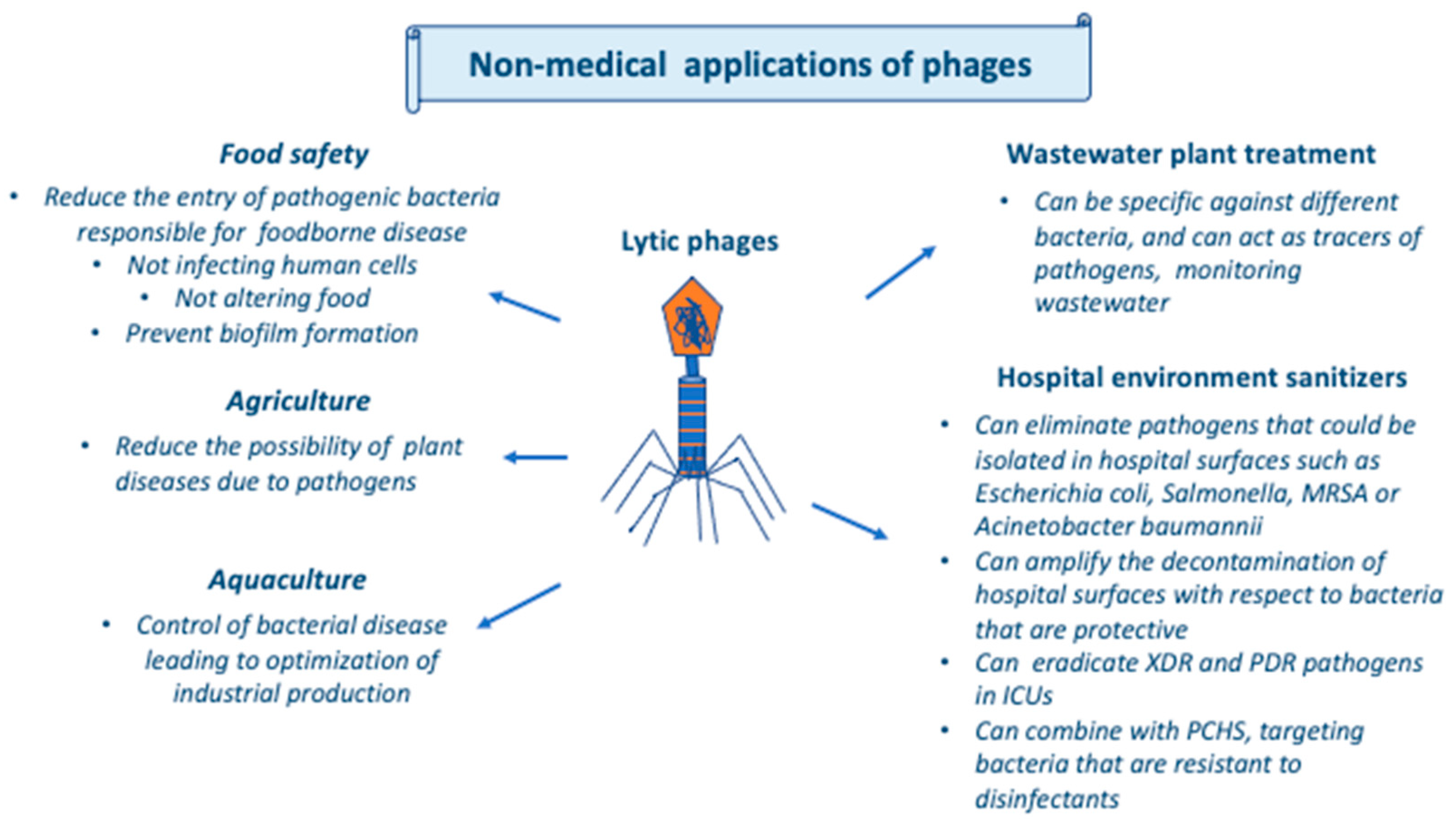 Bacteriophages in Infectious Diseases and Beyond—A Narrative Review