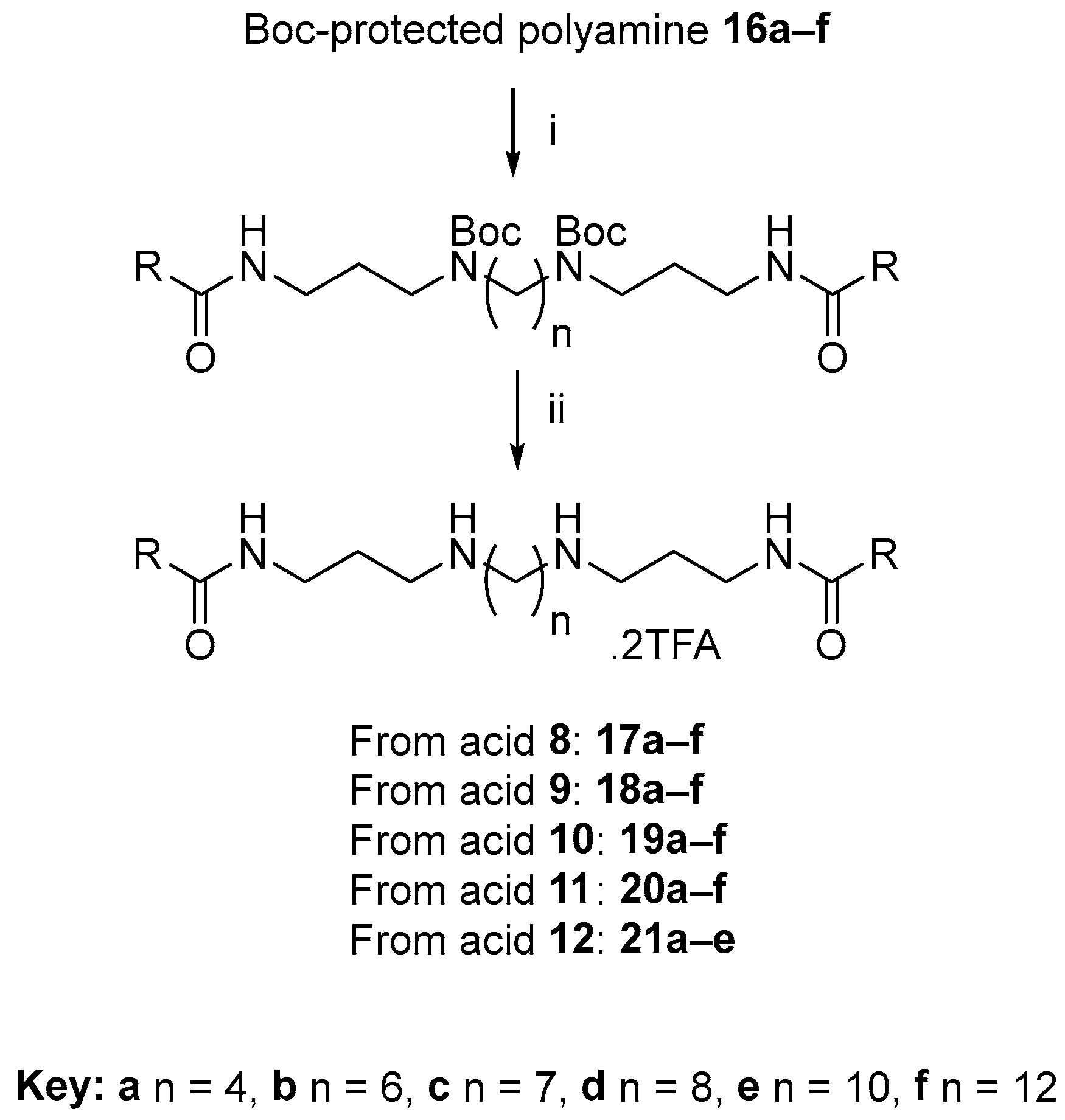 Antibiotics 12 01014 sch002