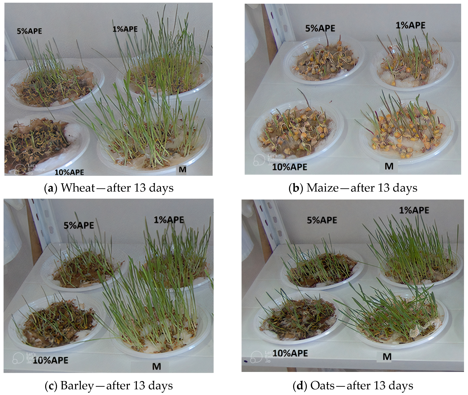 Antibiotics 12 01015 g001 Antibiotics 12 01015 g001