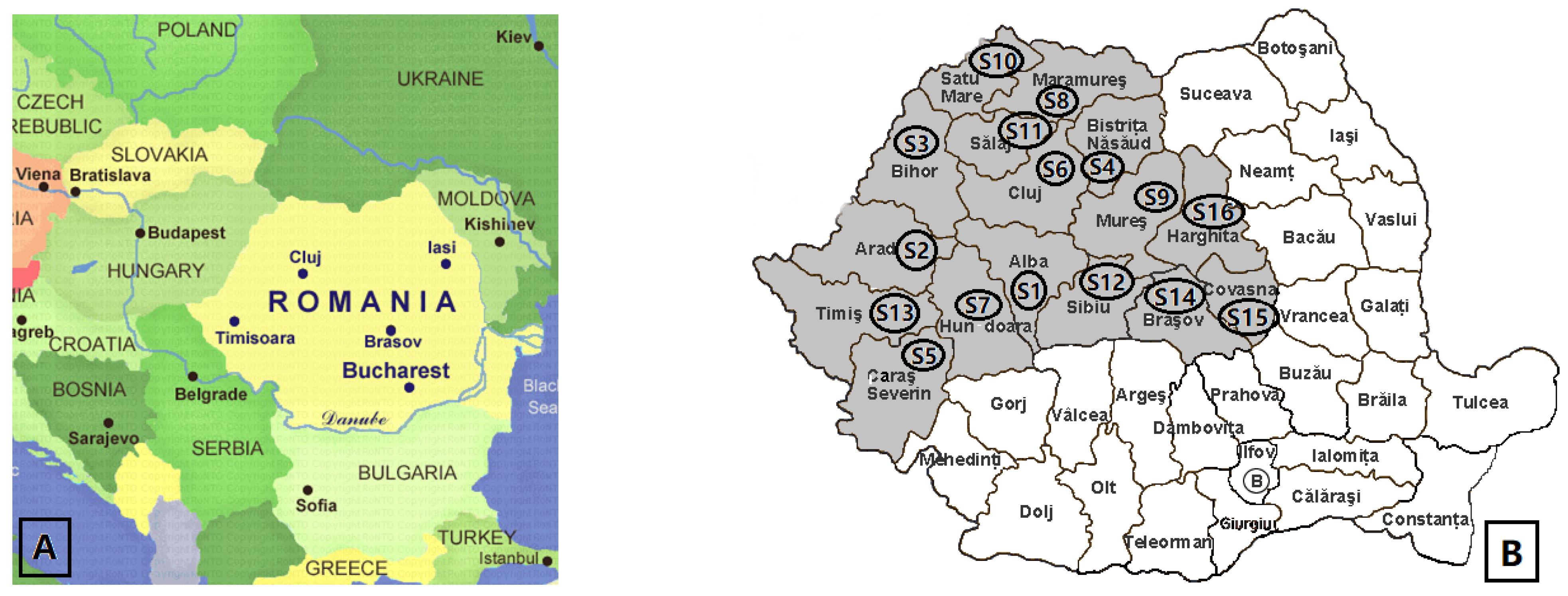 Antibiotics 12 01015 g007 Antibiotics 12 01015 g007
