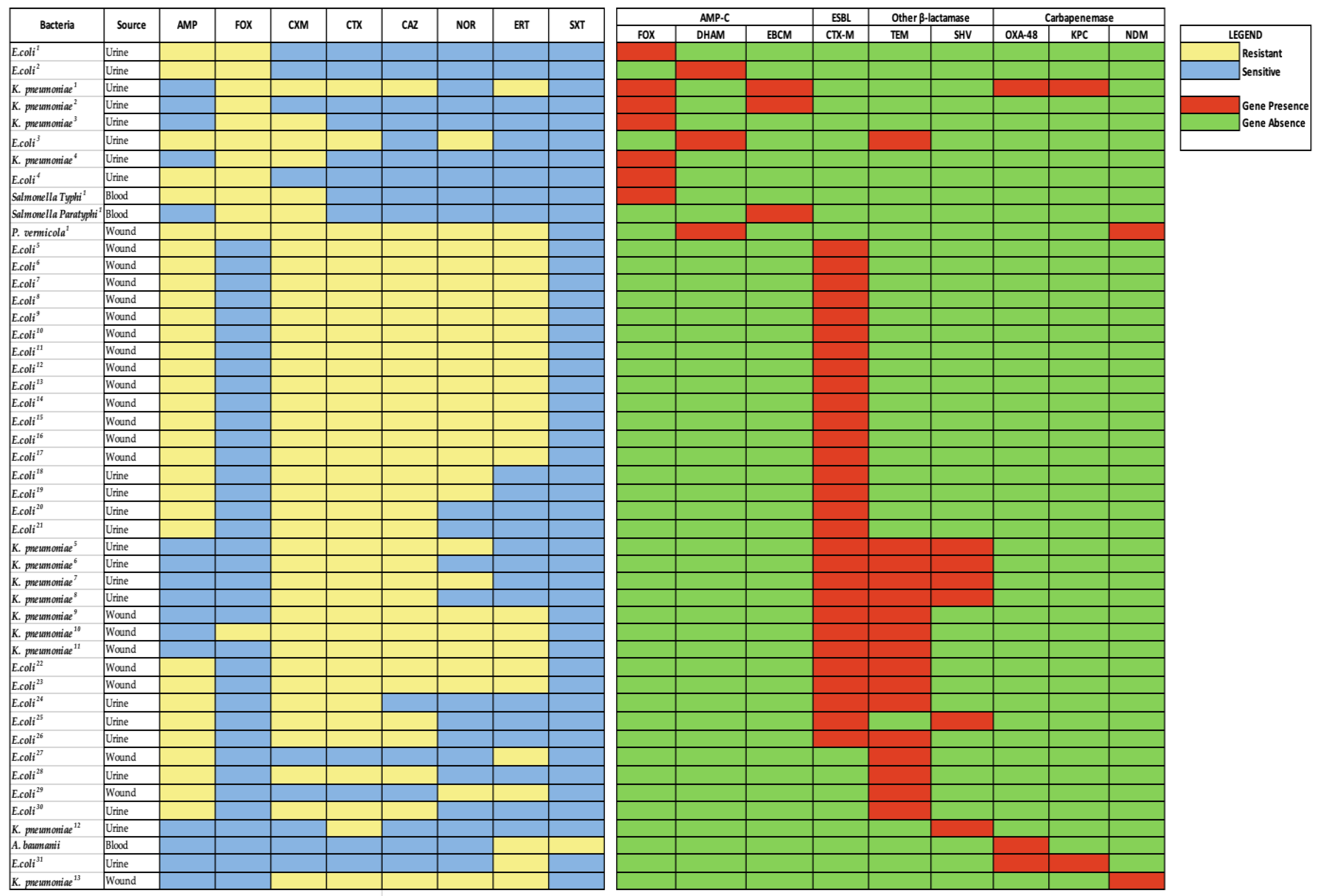 Antibiotics 12 01016 g001