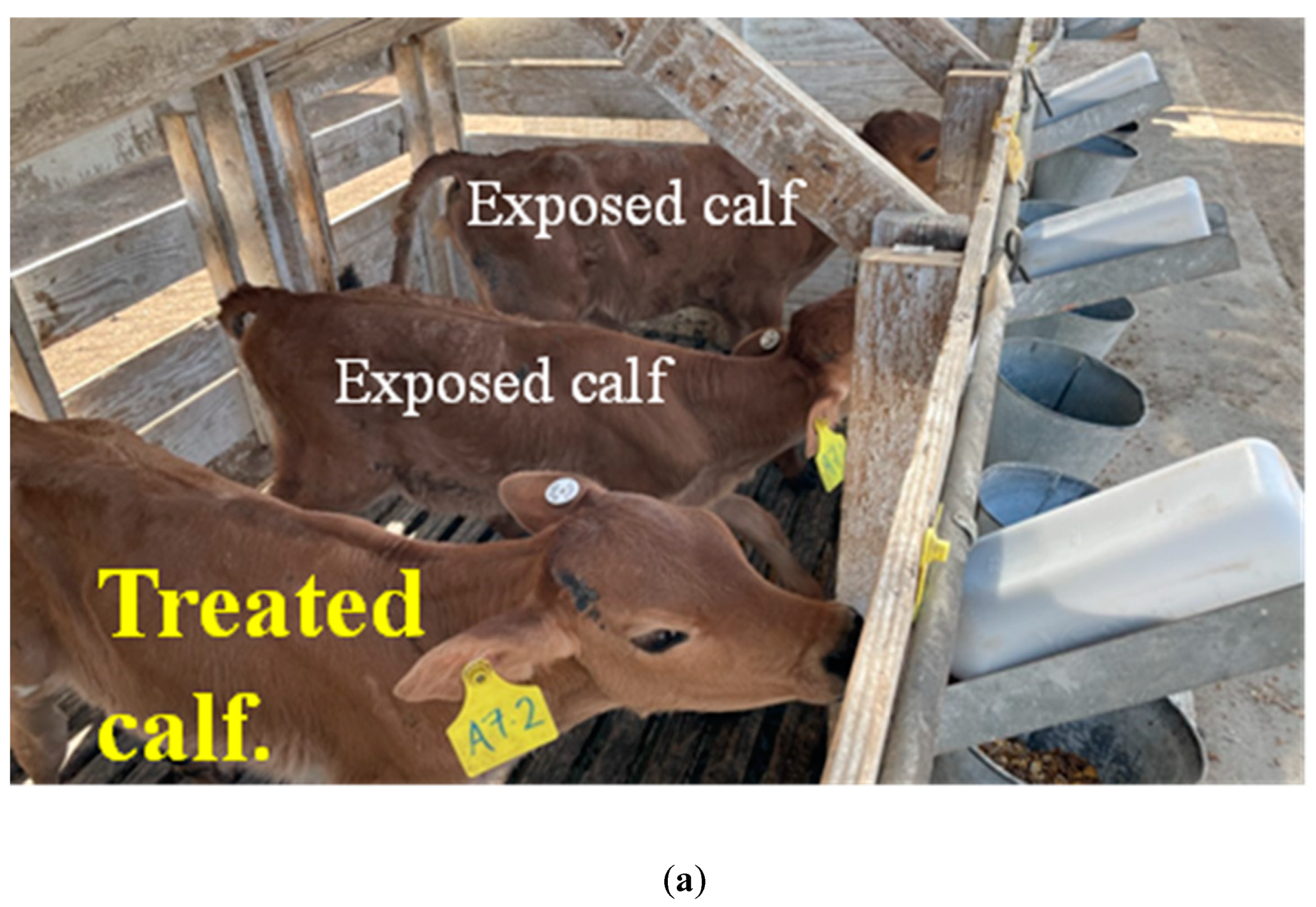 Antibiotics 12 01019 g0a1a Antibiotics 12 01019 g0a1a