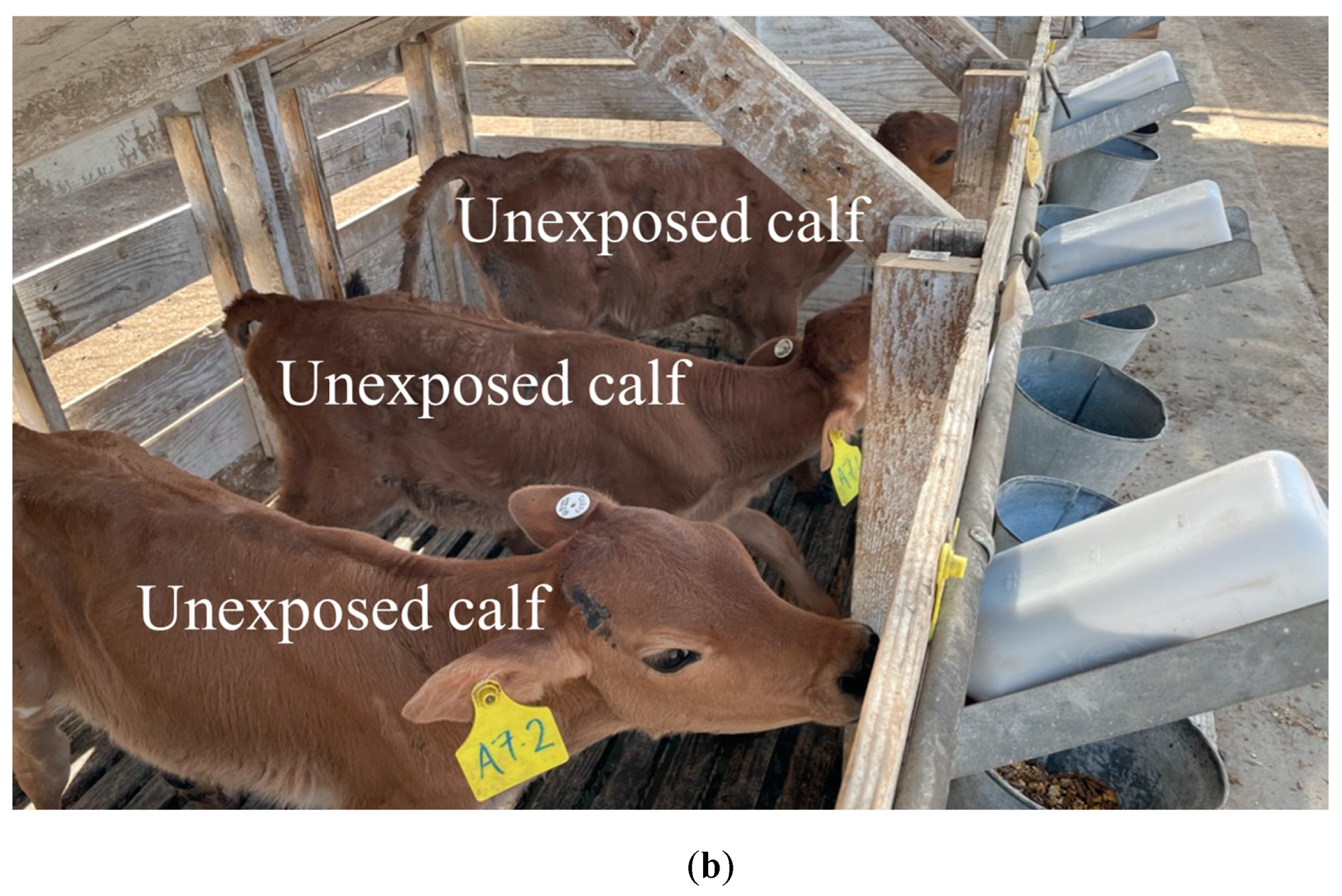 Antibiotics 12 01019 g0a1b Antibiotics 12 01019 g0a1b
