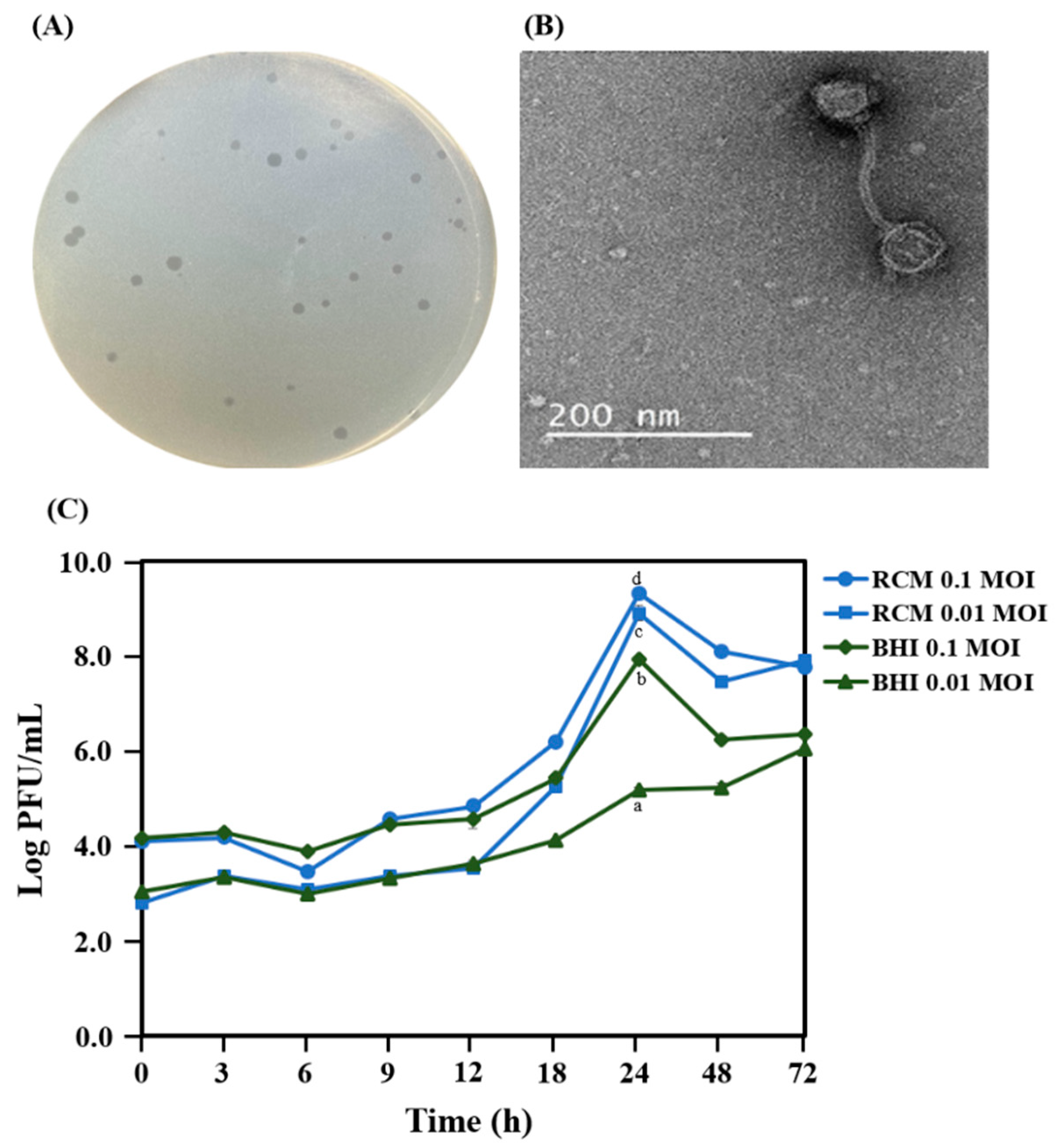 Antibiotics 12 01035 g001 Antibiotics 12 01035 g001
