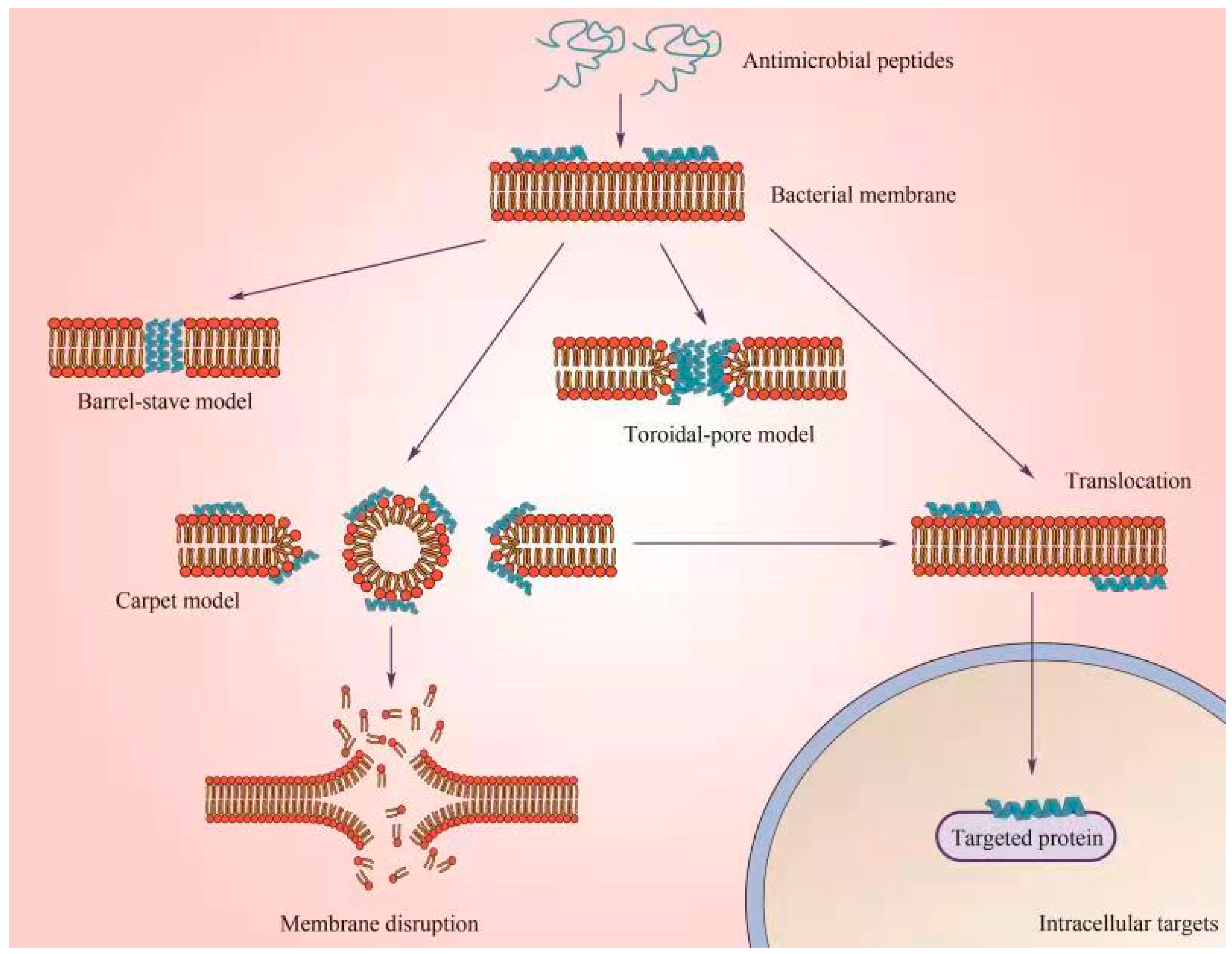 Antibiotics 12 01037 g002