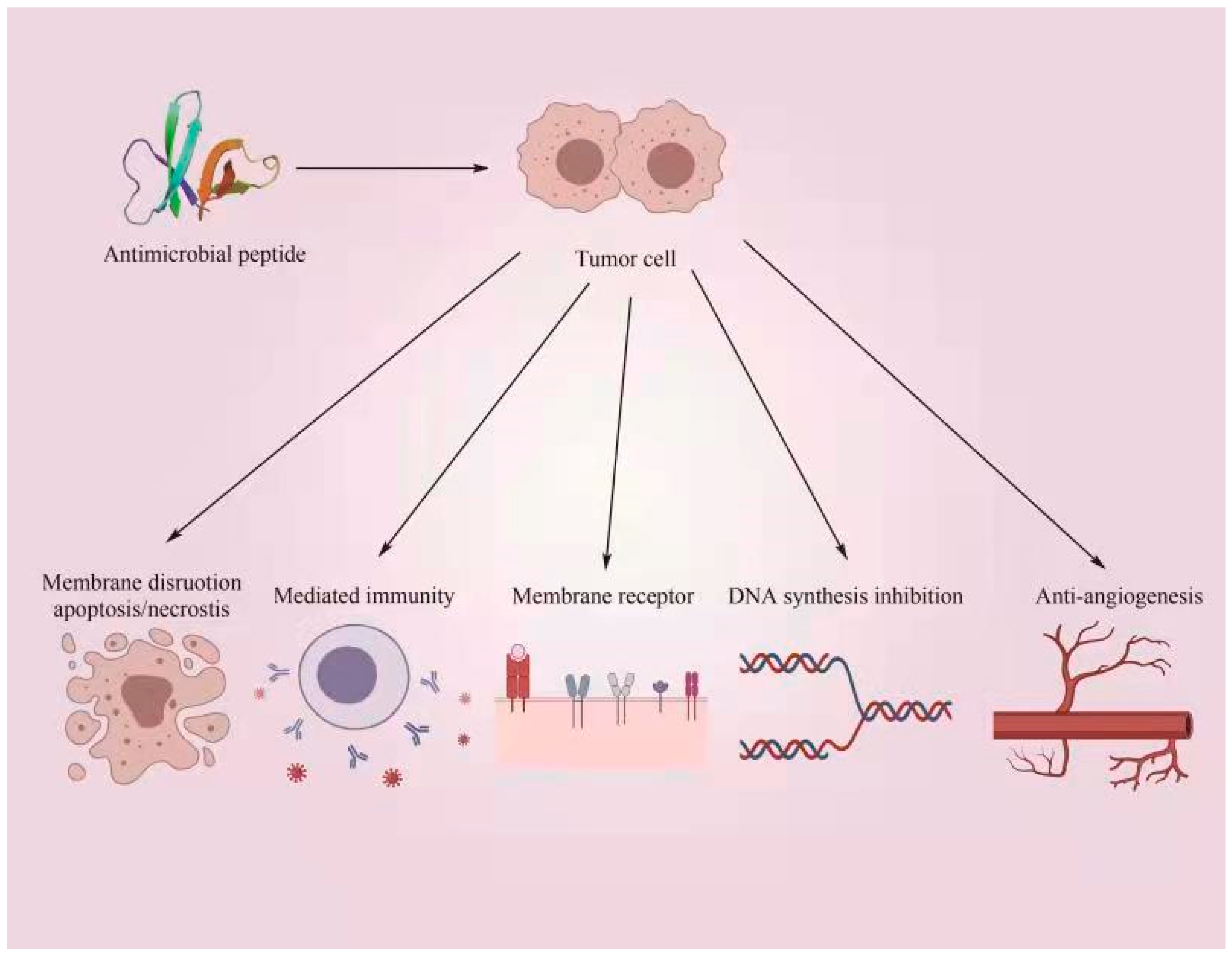 Antibiotics 12 01037 g003